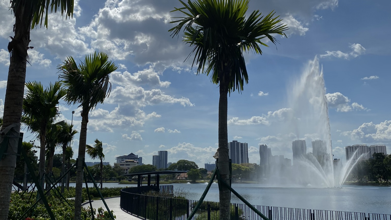 Palm Trees, Water, Cloud, Tree, Woody Plant. Wallpaper in 1280x720 Resolution