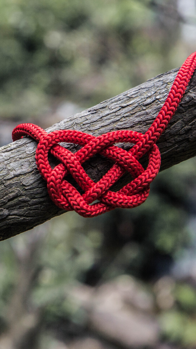 Rope, Knot, Branch, Twig, Tree. Wallpaper in 750x1334 Resolution