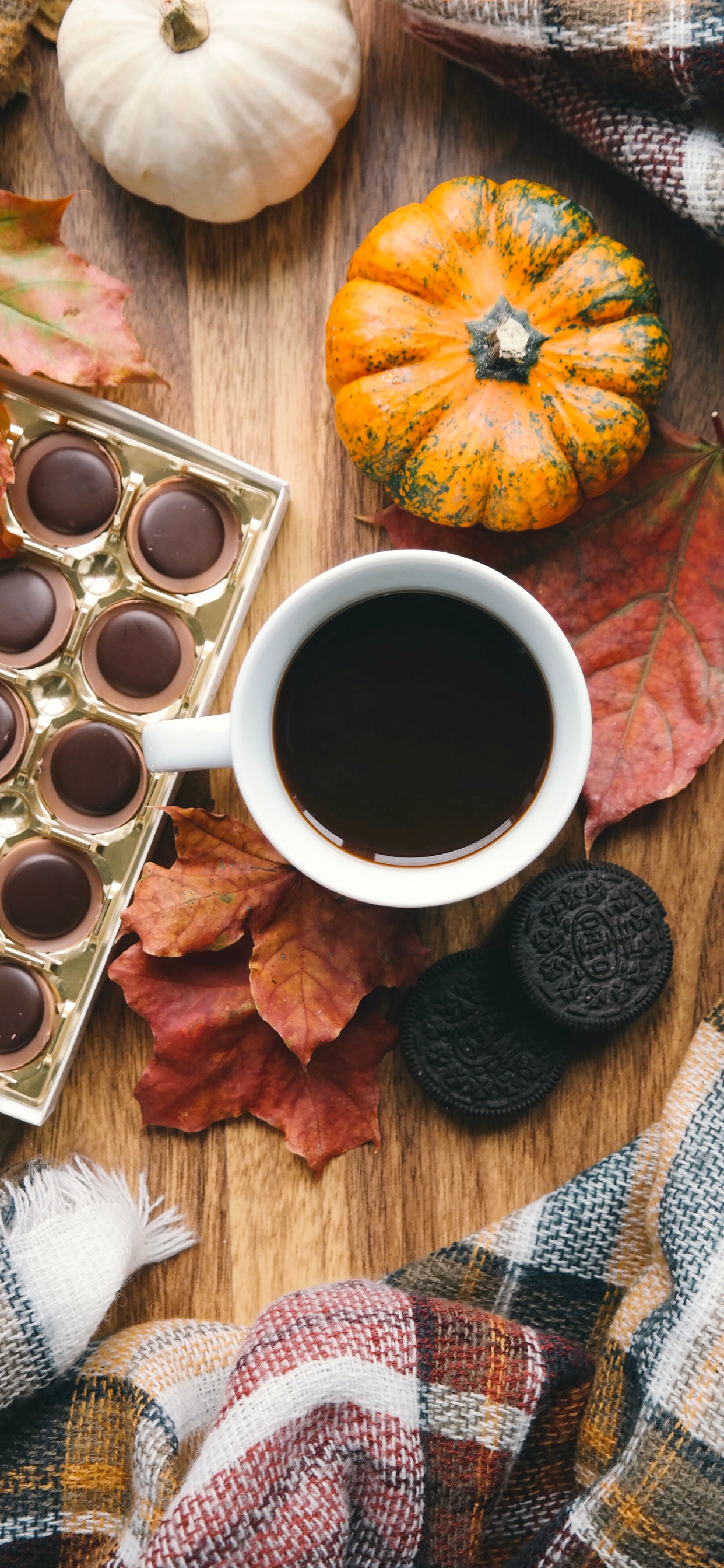 Collage, Autumn, Coffee, Eyewear, Cup. Wallpaper in 1242x2688 Resolution