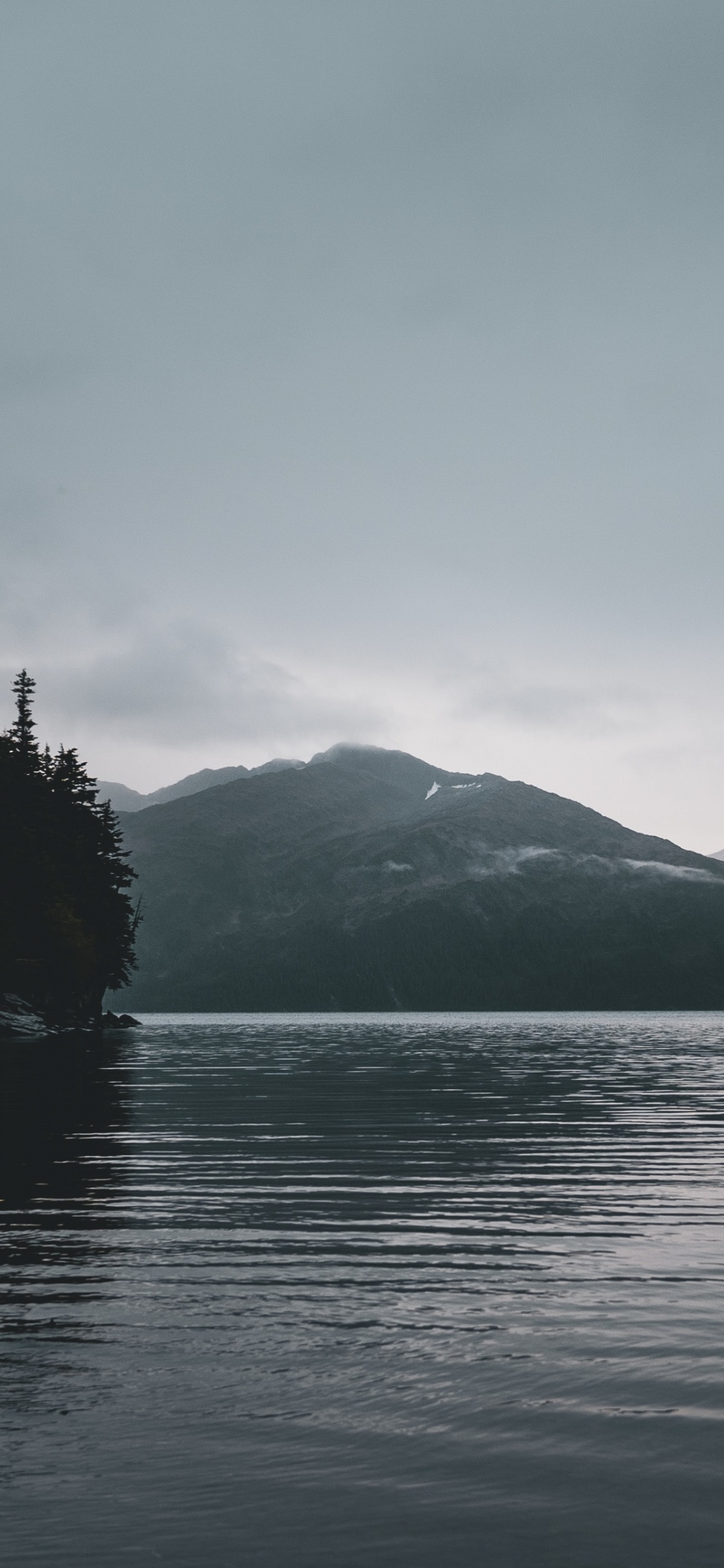 Sound, Wildnis, Einlass, Nebel, Himmel. Wallpaper in 1125x2436 Resolution