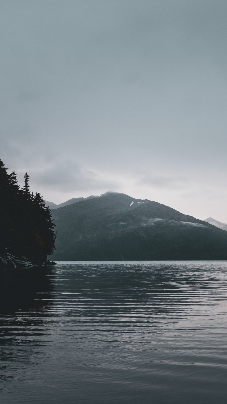 Sound, Wildnis, Einlass, Nebel, Himmel. Wallpaper in 750x1334 Resolution