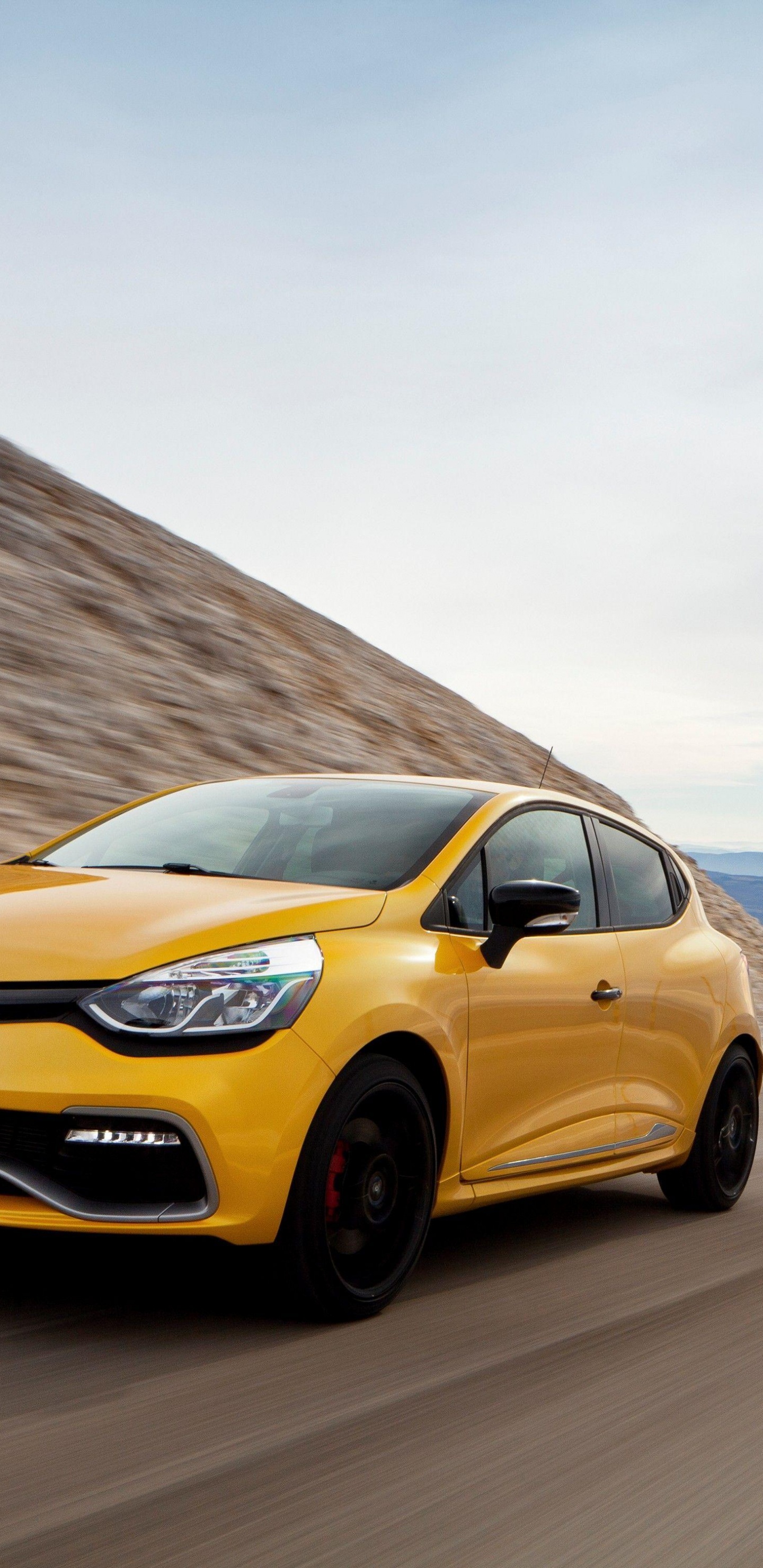 雷诺, 两厢, 热孵化, 雷诺 Clio 雷诺运动, 微型汽车 壁纸 1440x2960 允许