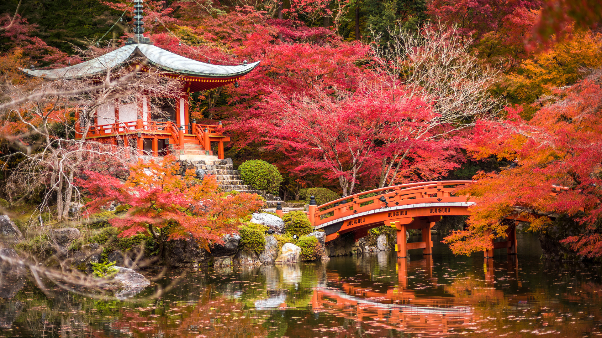 Red and Brown Wooden Bridge Over River. Wallpaper in 1920x1080 Resolution