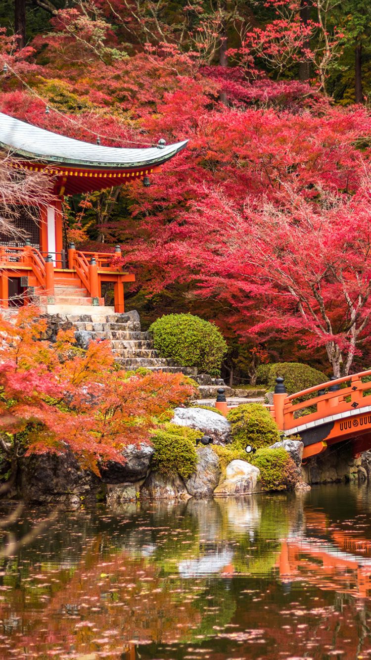 Red and Brown Wooden Bridge Over River. Wallpaper in 750x1334 Resolution