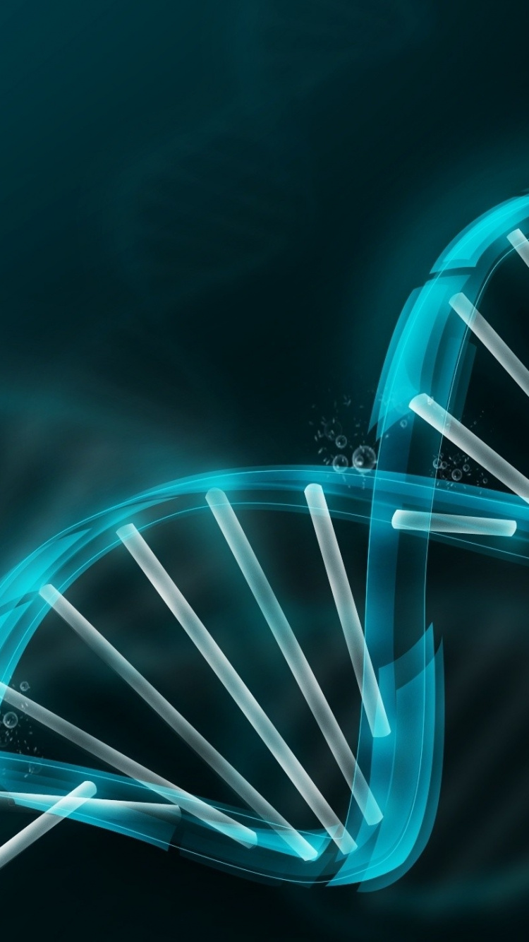 Rote Und Weiße Leuchte. Wallpaper in 750x1334 Resolution