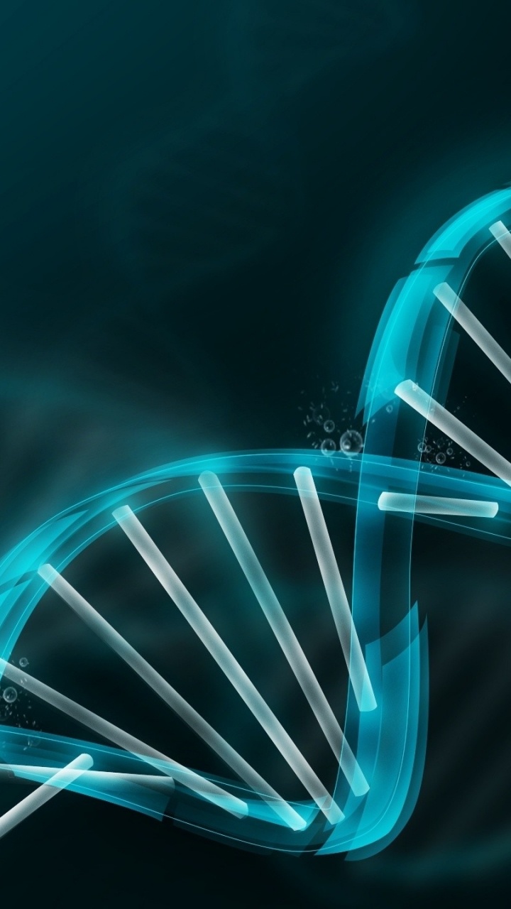 Luminaire Rouge et Blanc. Wallpaper in 720x1280 Resolution