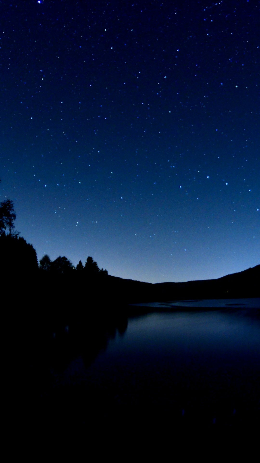 Silhouette of Trees Near Body of Water During Night Time. Wallpaper in 1080x1920 Resolution
