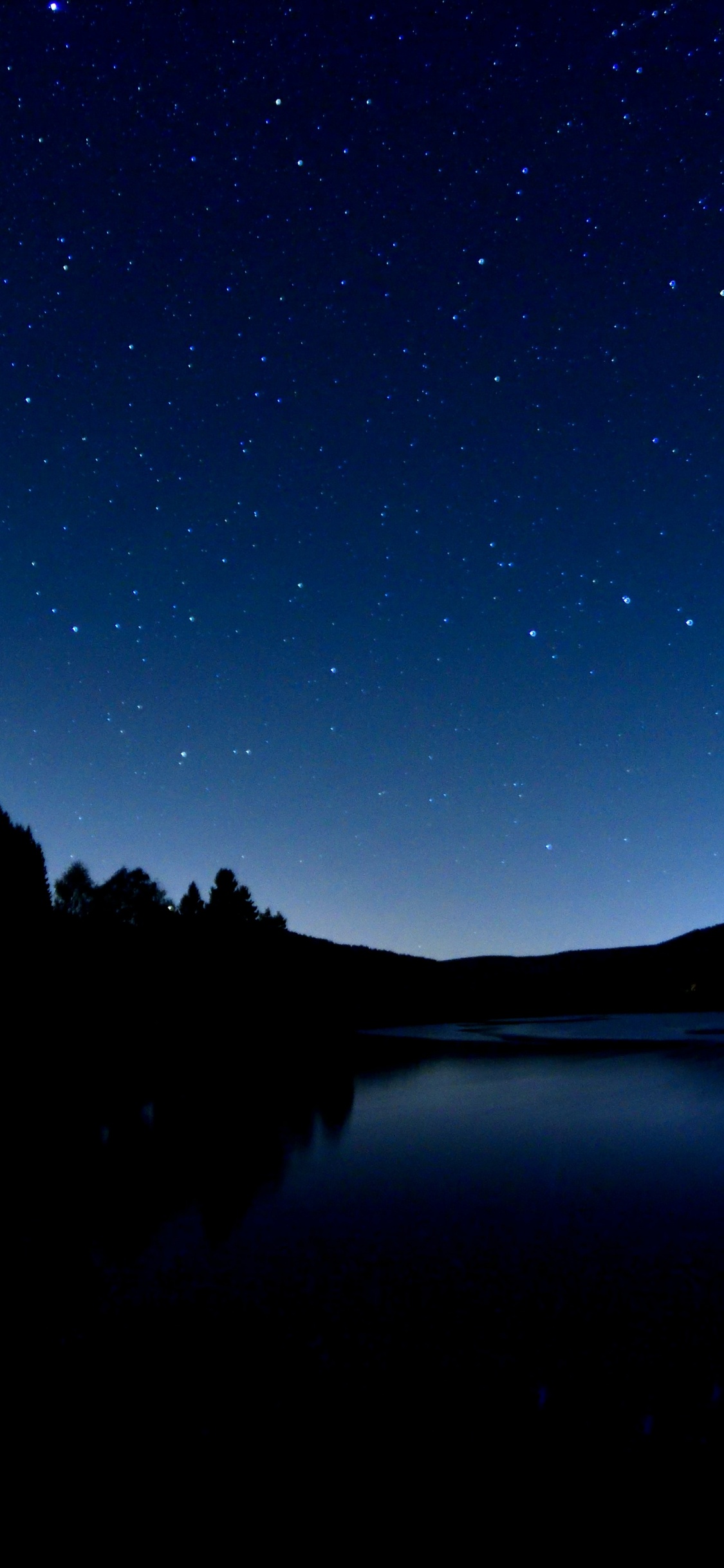 Silhouette Von Bäumen in Der Nähe Von Gewässern Während Der Nacht. Wallpaper in 1125x2436 Resolution