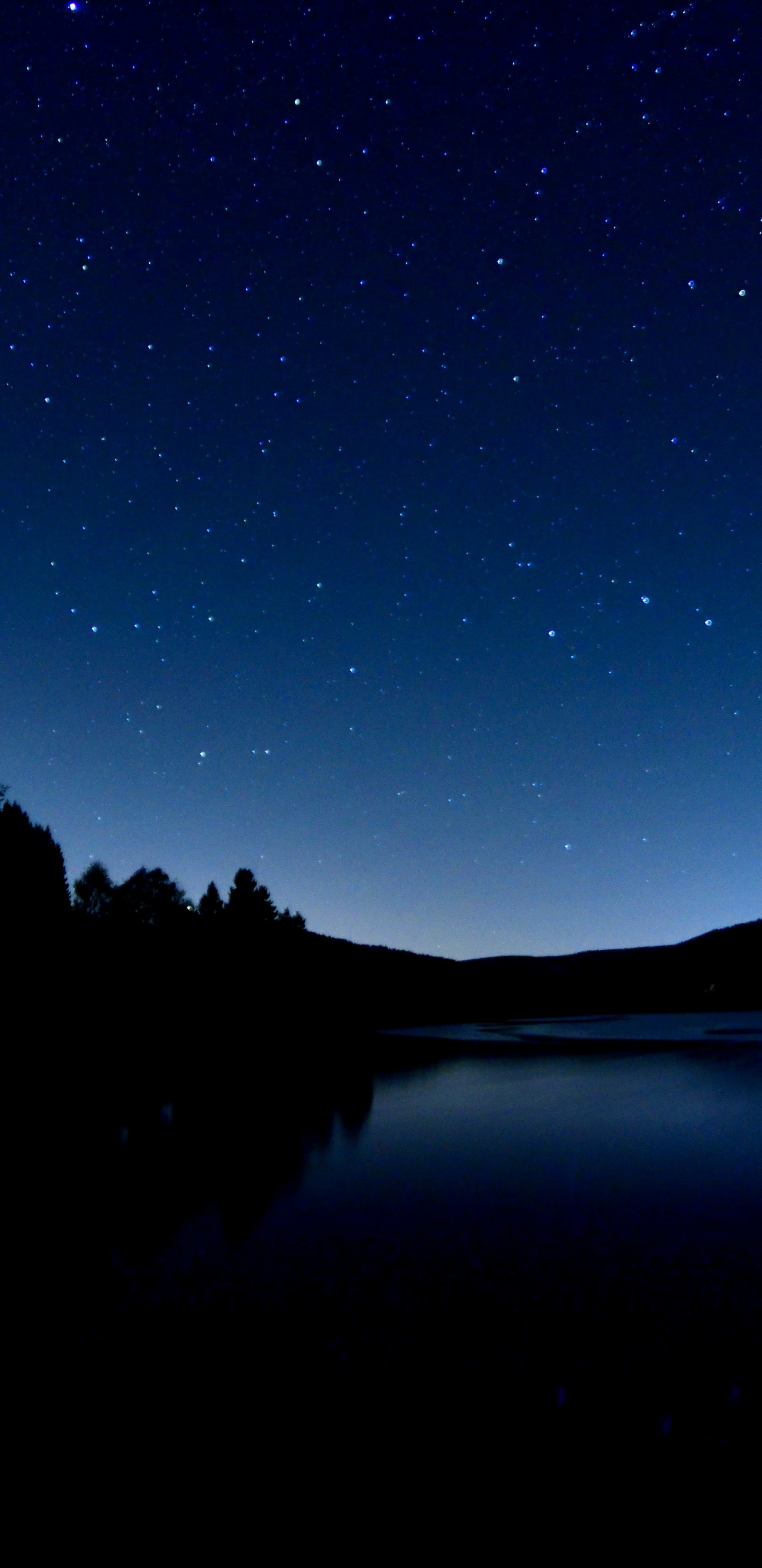 Silhouette Von Bäumen in Der Nähe Von Gewässern Während Der Nacht. Wallpaper in 1440x2960 Resolution