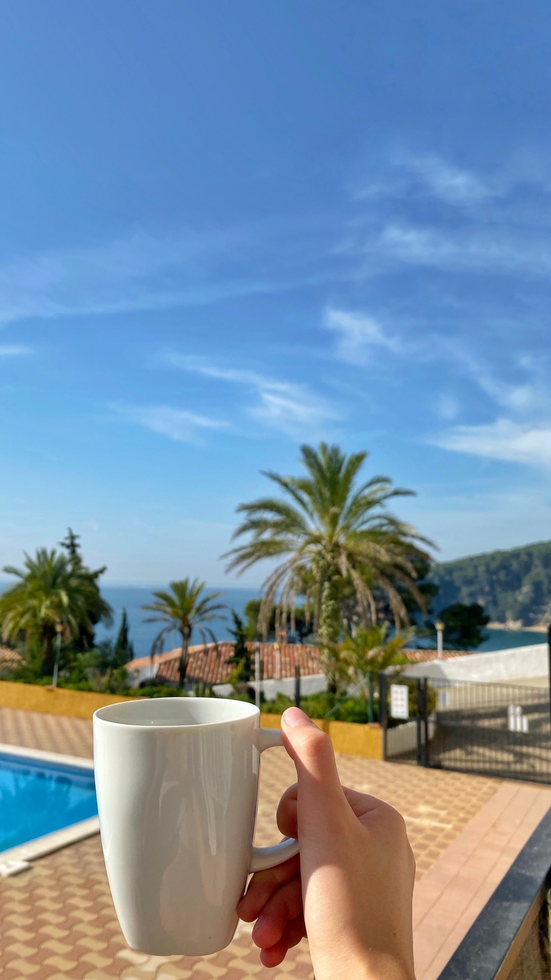 Palmier, Immobilier, Azure, Aqua, Resort. Wallpaper in 1080x1920 Resolution