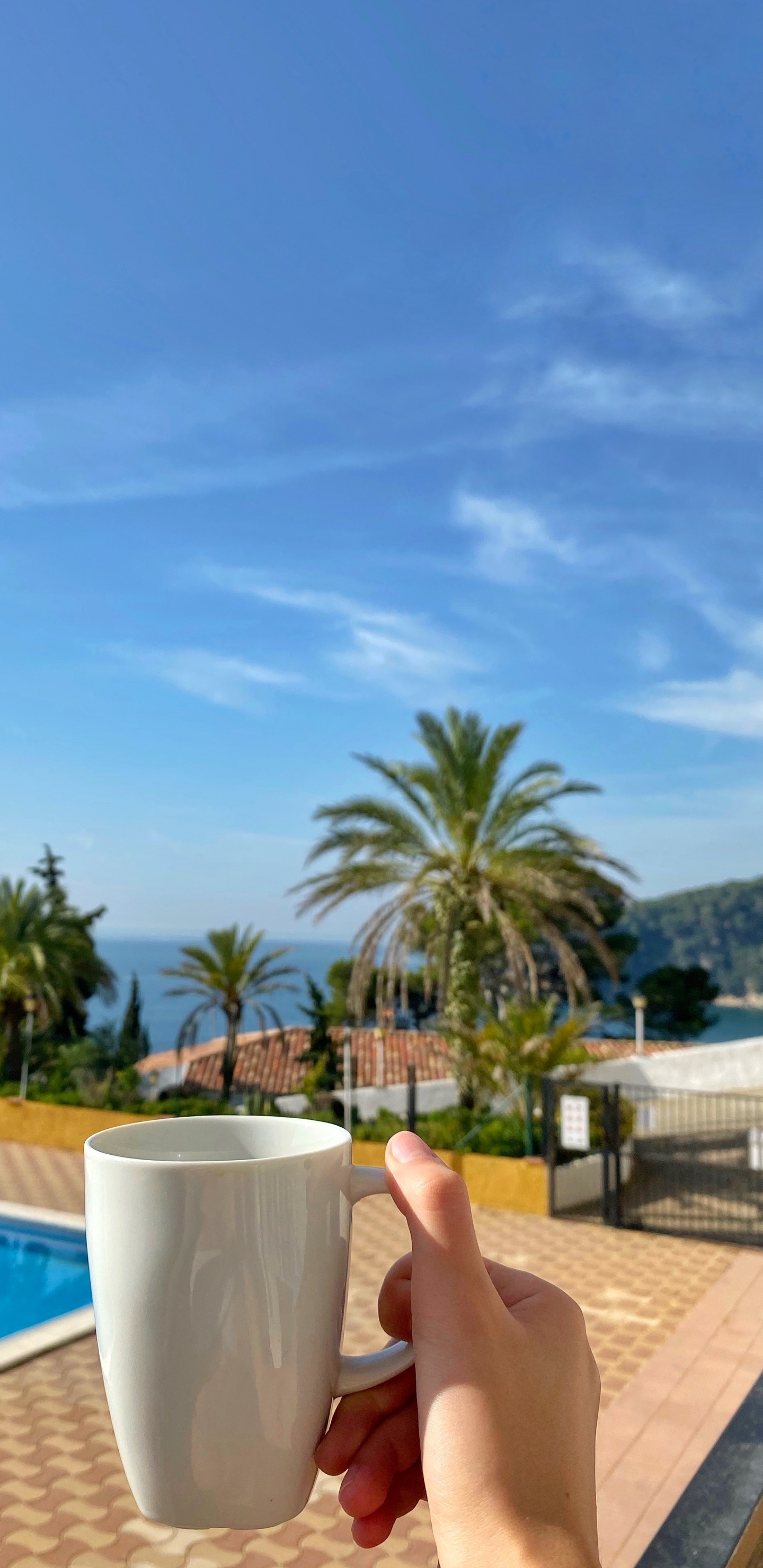 Palmier, Immobilier, Azure, Aqua, Resort. Wallpaper in 1440x2960 Resolution