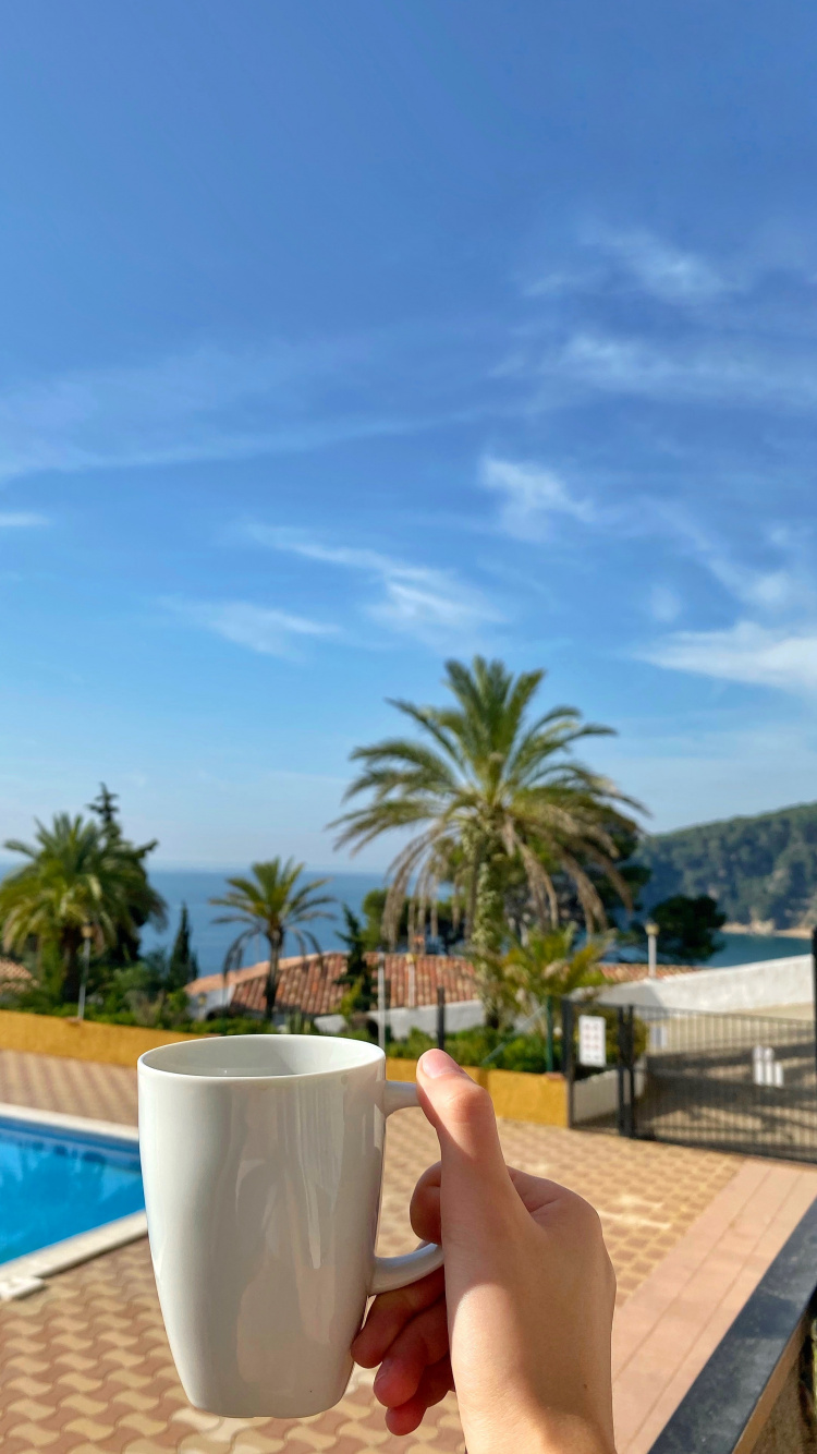 Palmier, Immobilier, Azure, Aqua, Resort. Wallpaper in 750x1334 Resolution