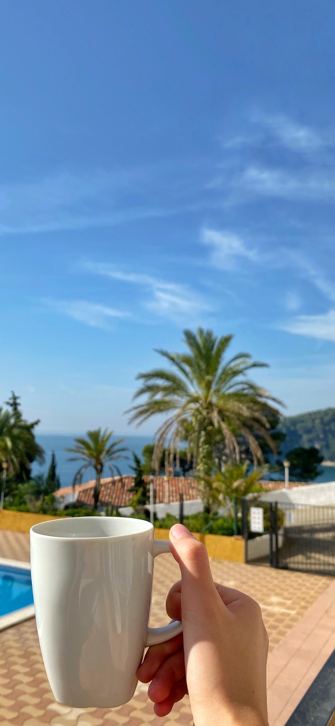 Piscina, Palmera, Inmueble, Azure, Aqua. Wallpaper in 1125x2436 Resolution