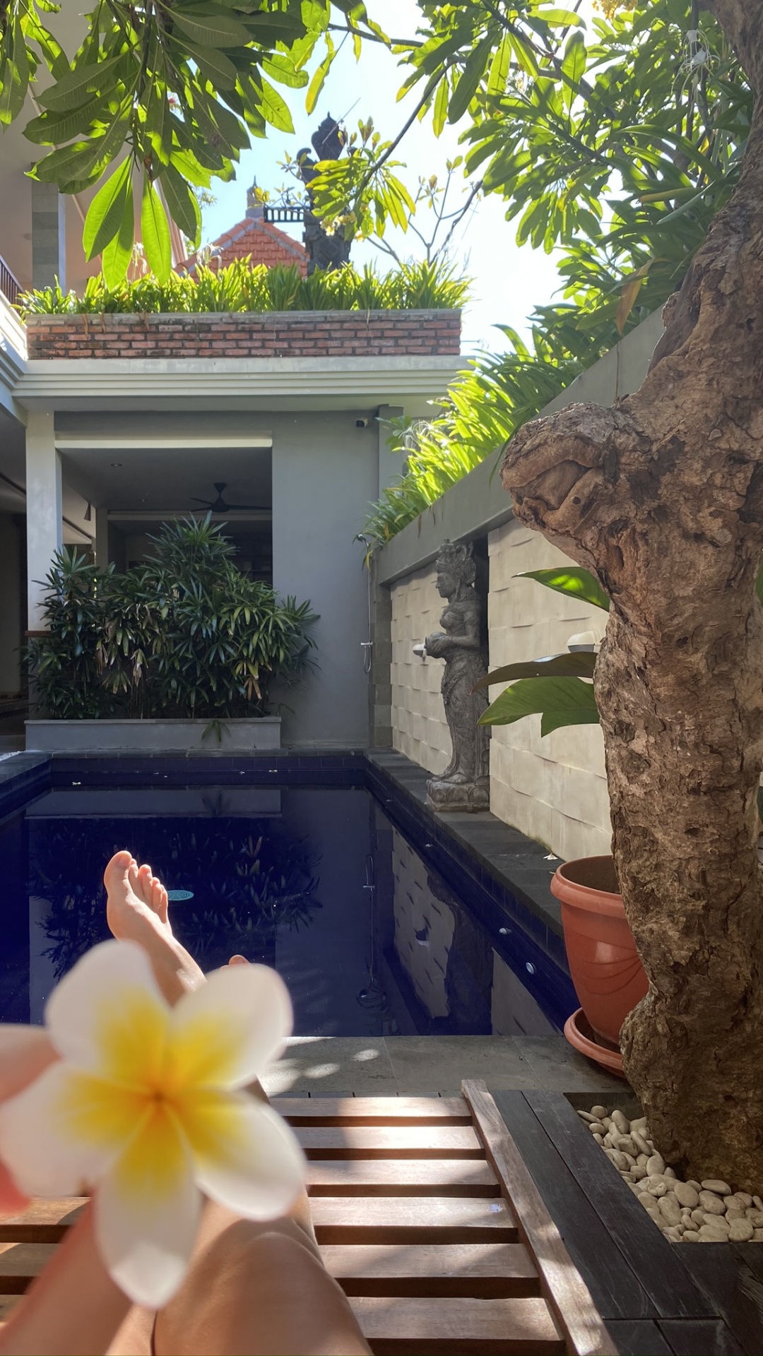 House, Swimming Pool, Real Estate, Property, Petal. Wallpaper in 1080x1920 Resolution