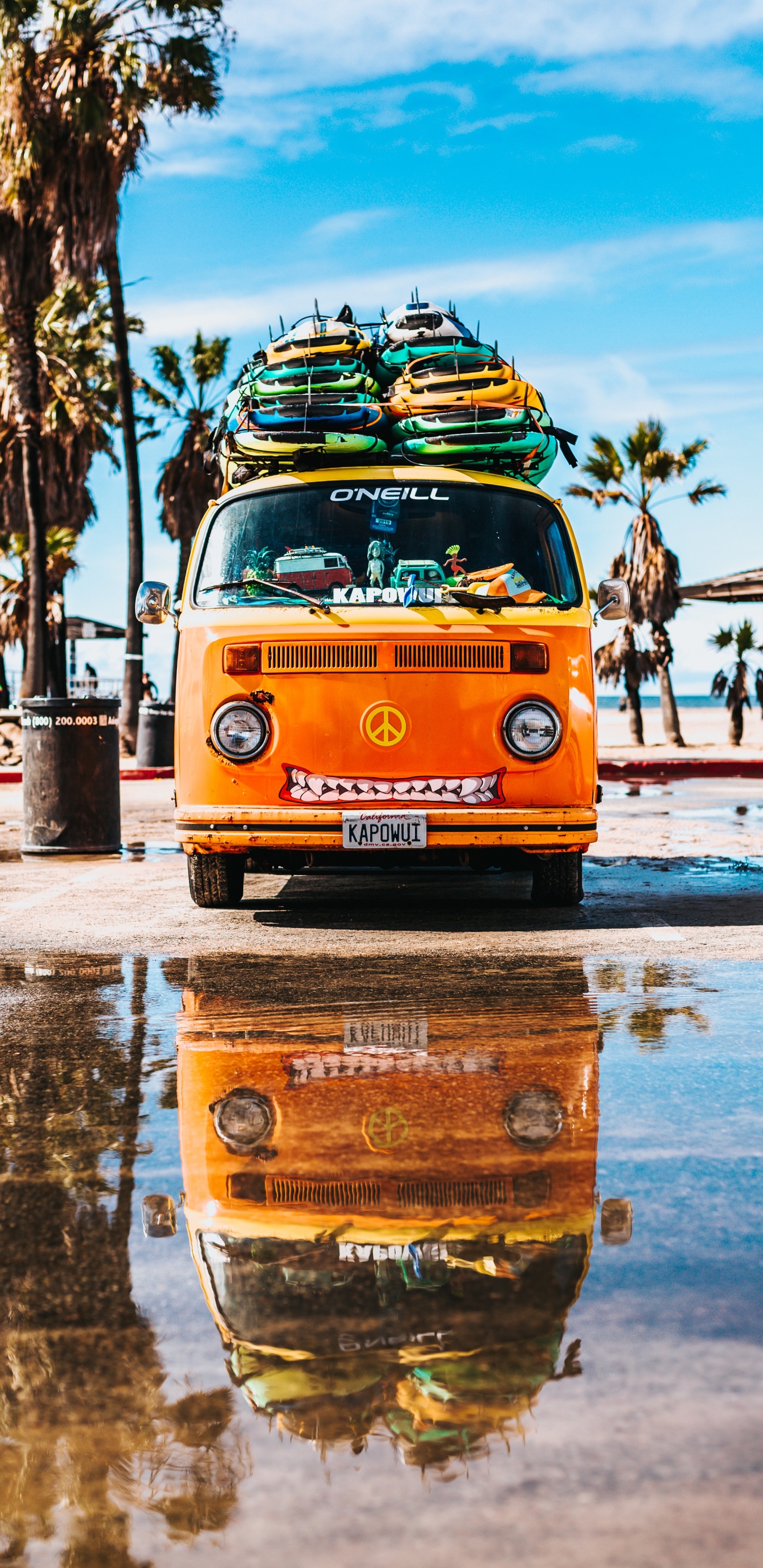 Sommer Von, Van, Volkswagen Typ 2, Car, Windsurfen. Wallpaper in 1440x2960 Resolution