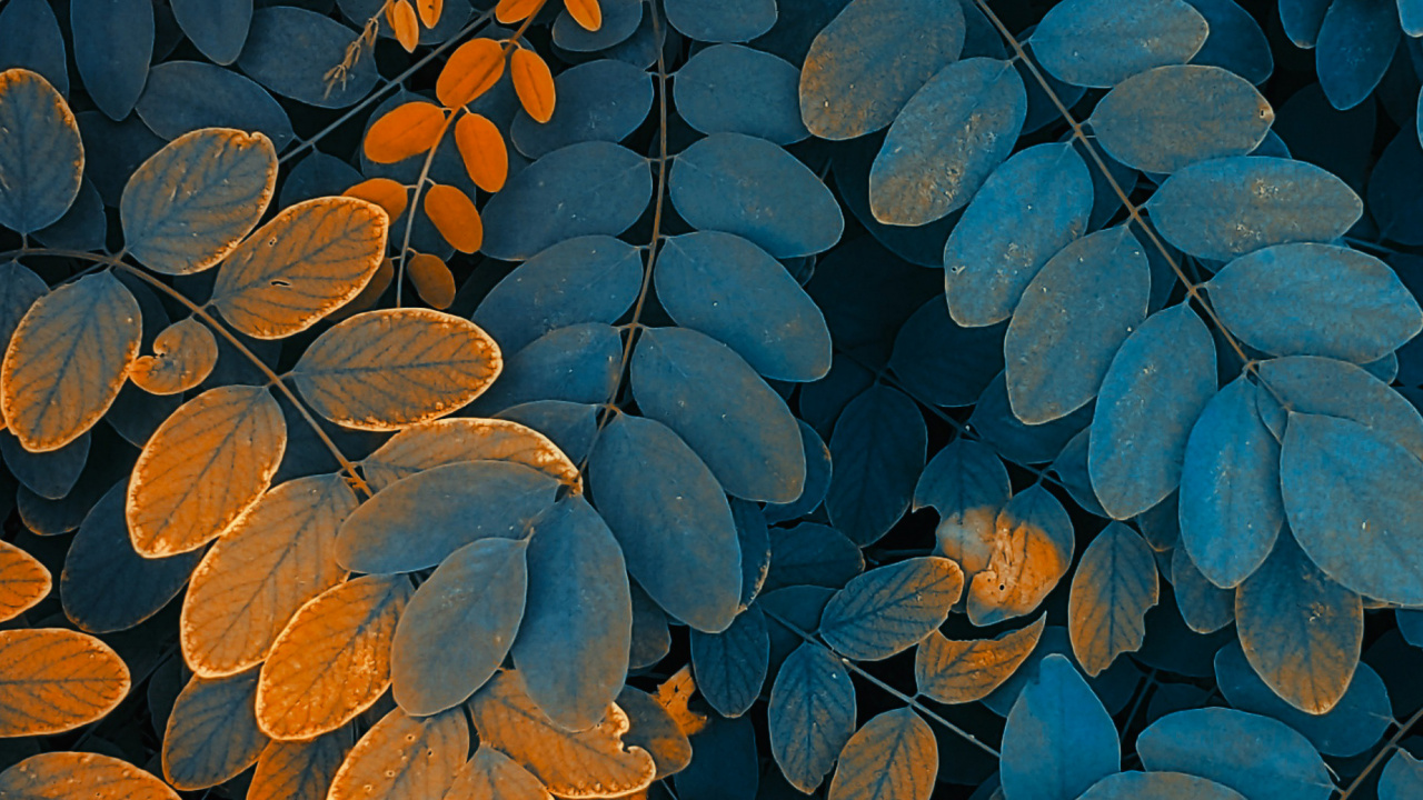 Illustration, Feuille, Botanique, Rameau, Biome. Wallpaper in 1280x720 Resolution