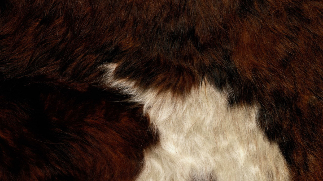 Brown and White Fur Textile. Wallpaper in 1366x768 Resolution