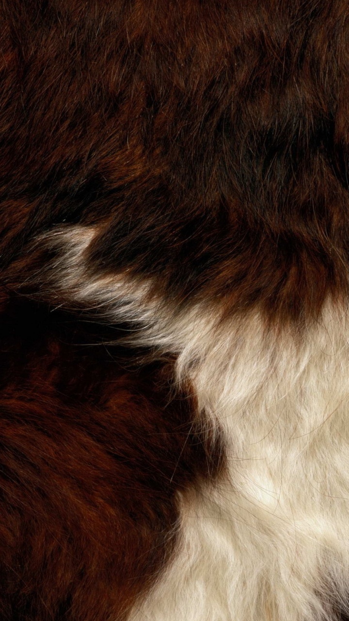 Brown and White Fur Textile. Wallpaper in 720x1280 Resolution