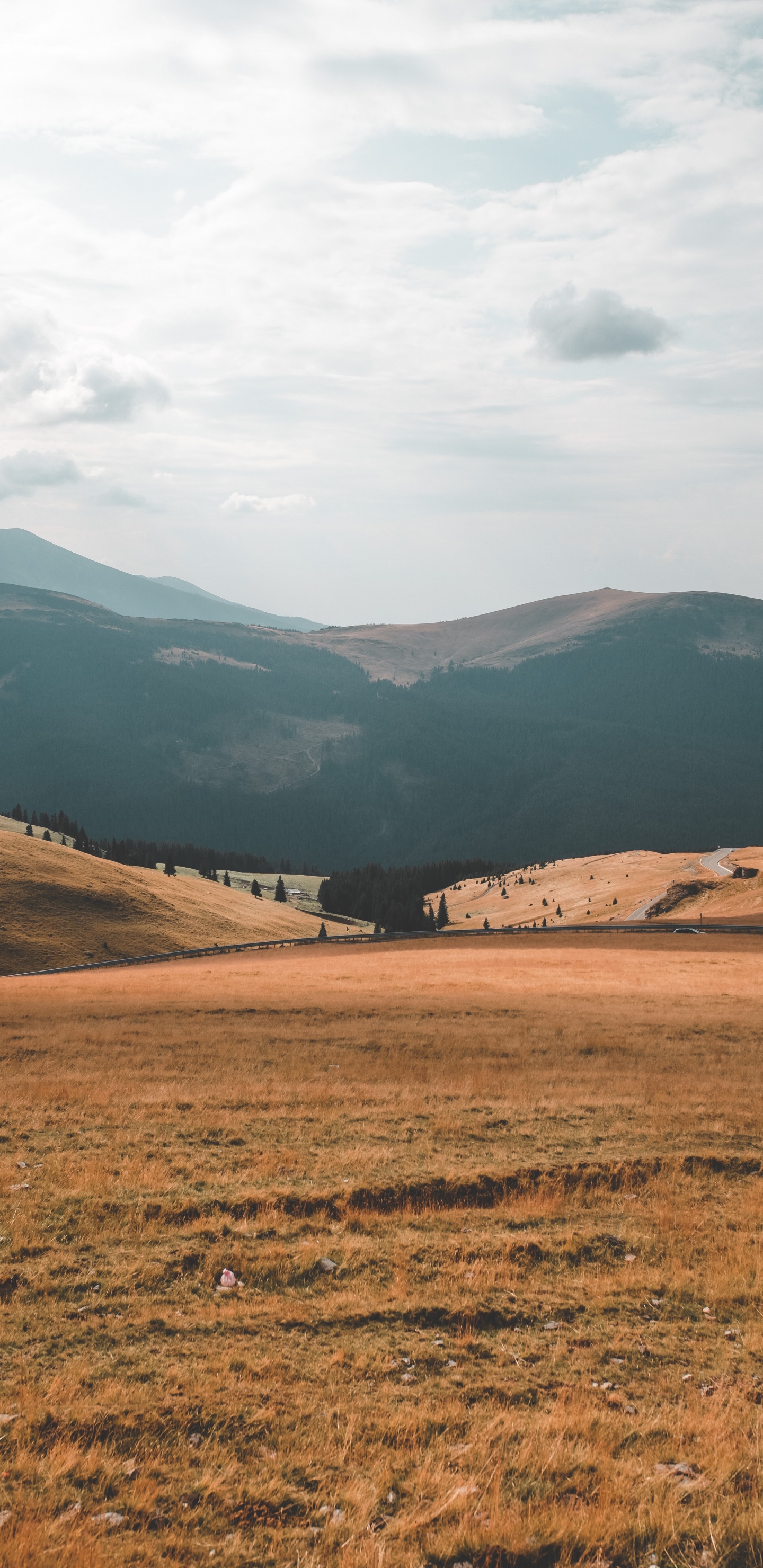 Grassland, Highland, Natural Environment, Mountainous Landforms, Hill. Wallpaper in 1440x2960 Resolution