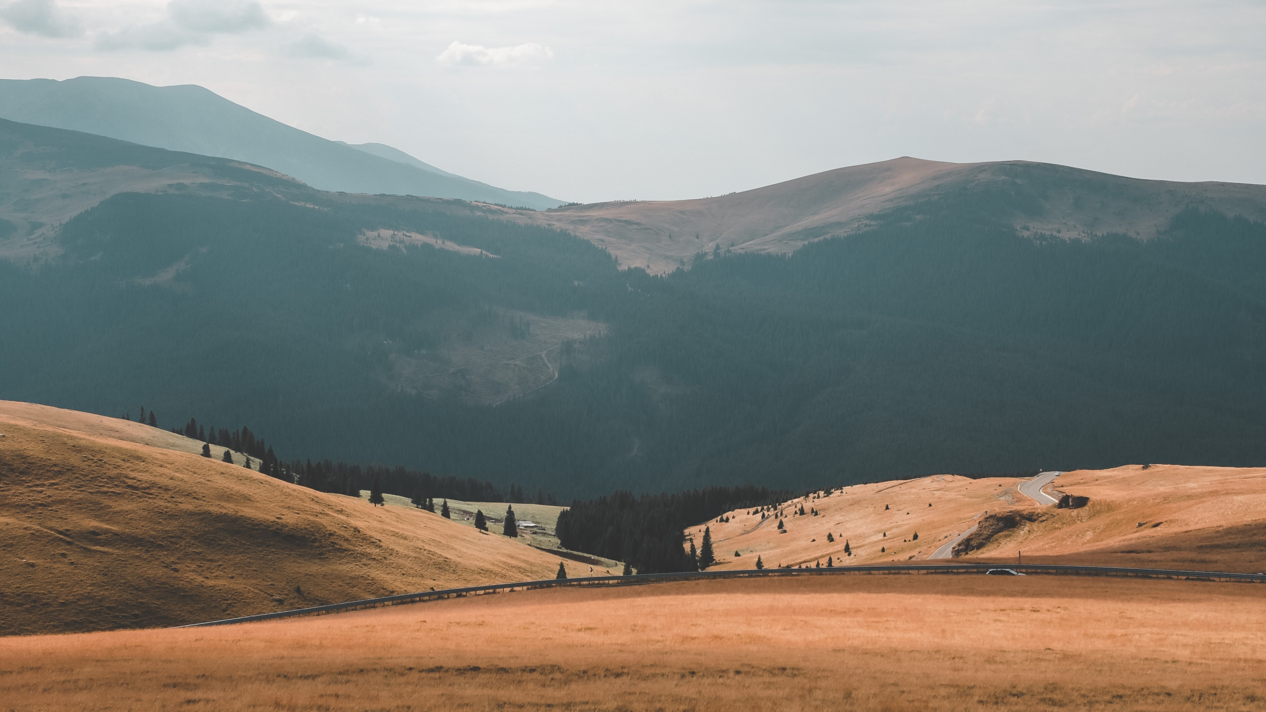 Grassland, Highland, Natural Environment, Mountainous Landforms, Hill. Wallpaper in 2560x1440 Resolution