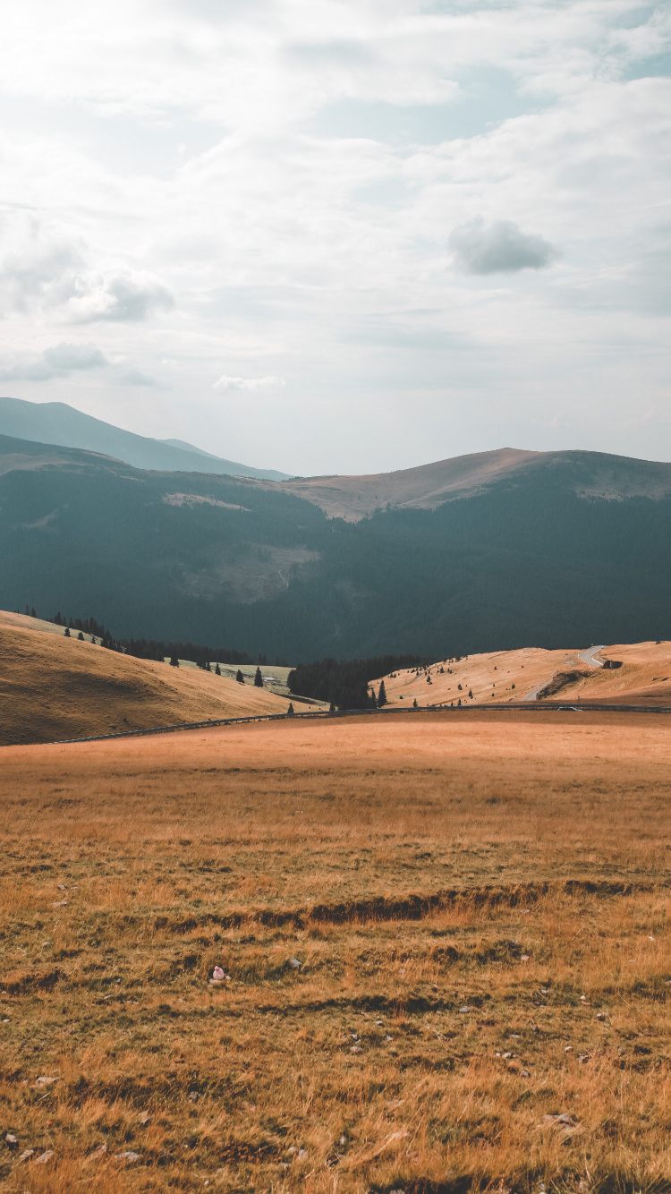 Grassland, Highland, Natural Environment, Mountainous Landforms, Hill. Wallpaper in 750x1334 Resolution