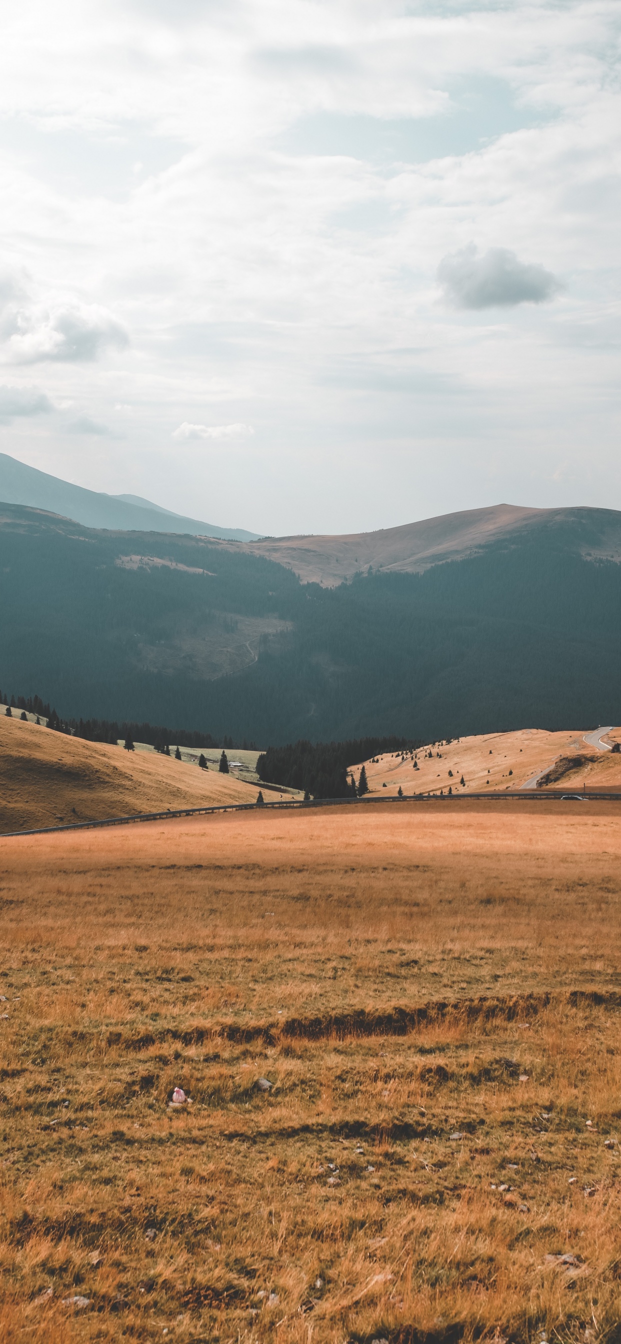 高地, 自然环境, 多山的地貌, 普通的, 荒野 壁纸 1242x2688 允许