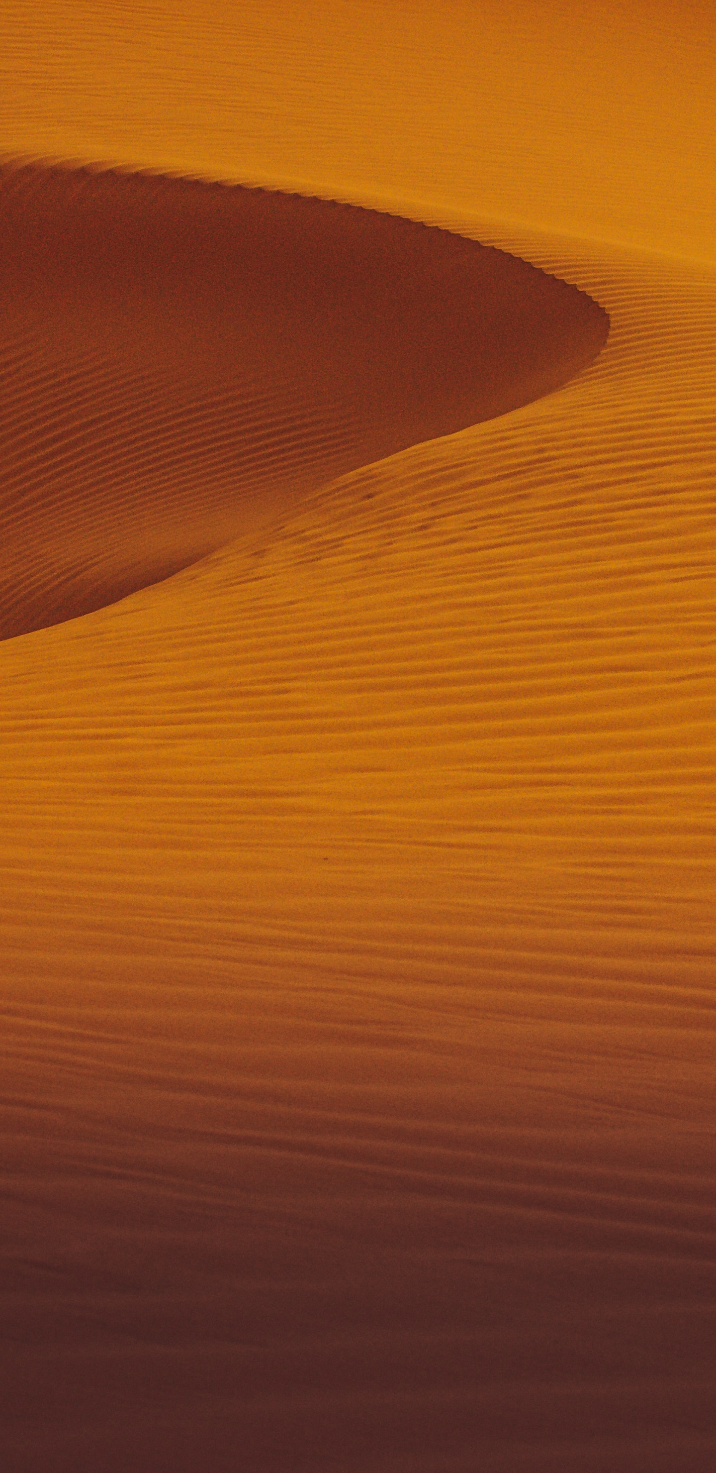 Dune, Natural Environment, Desserts, Singing Sand, Erg. Wallpaper in 1440x2960 Resolution