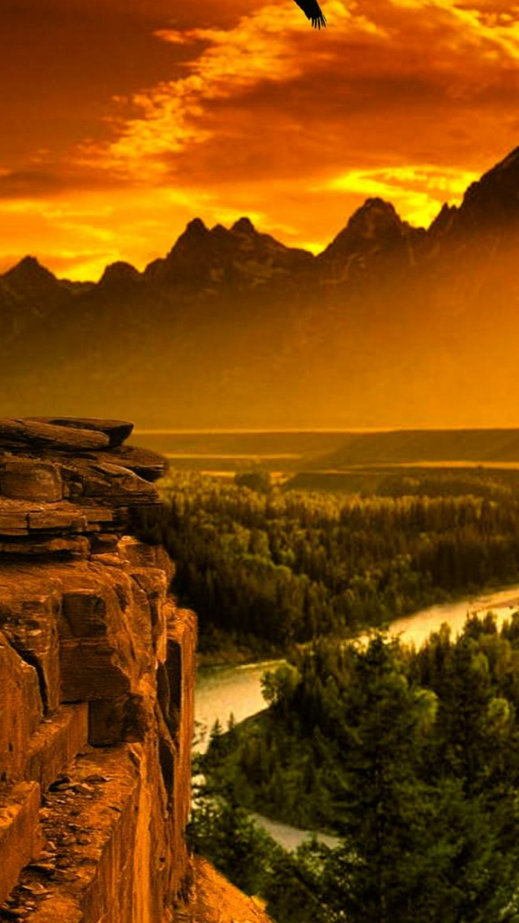 Grüne Bäume in Der Nähe Des Berges Tagsüber Mountain. Wallpaper in 750x1334 Resolution