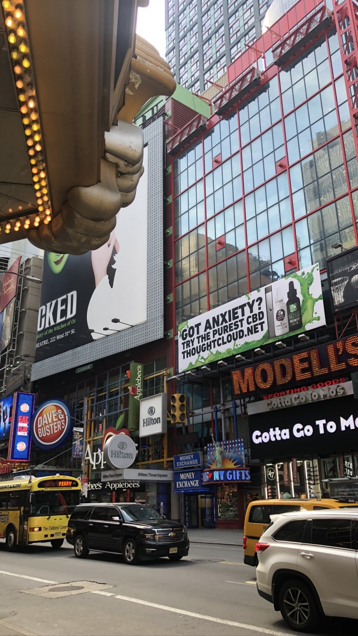 42nd Street, King, Wheel, Automotive Parking Light, Building. Wallpaper in 720x1280 Resolution