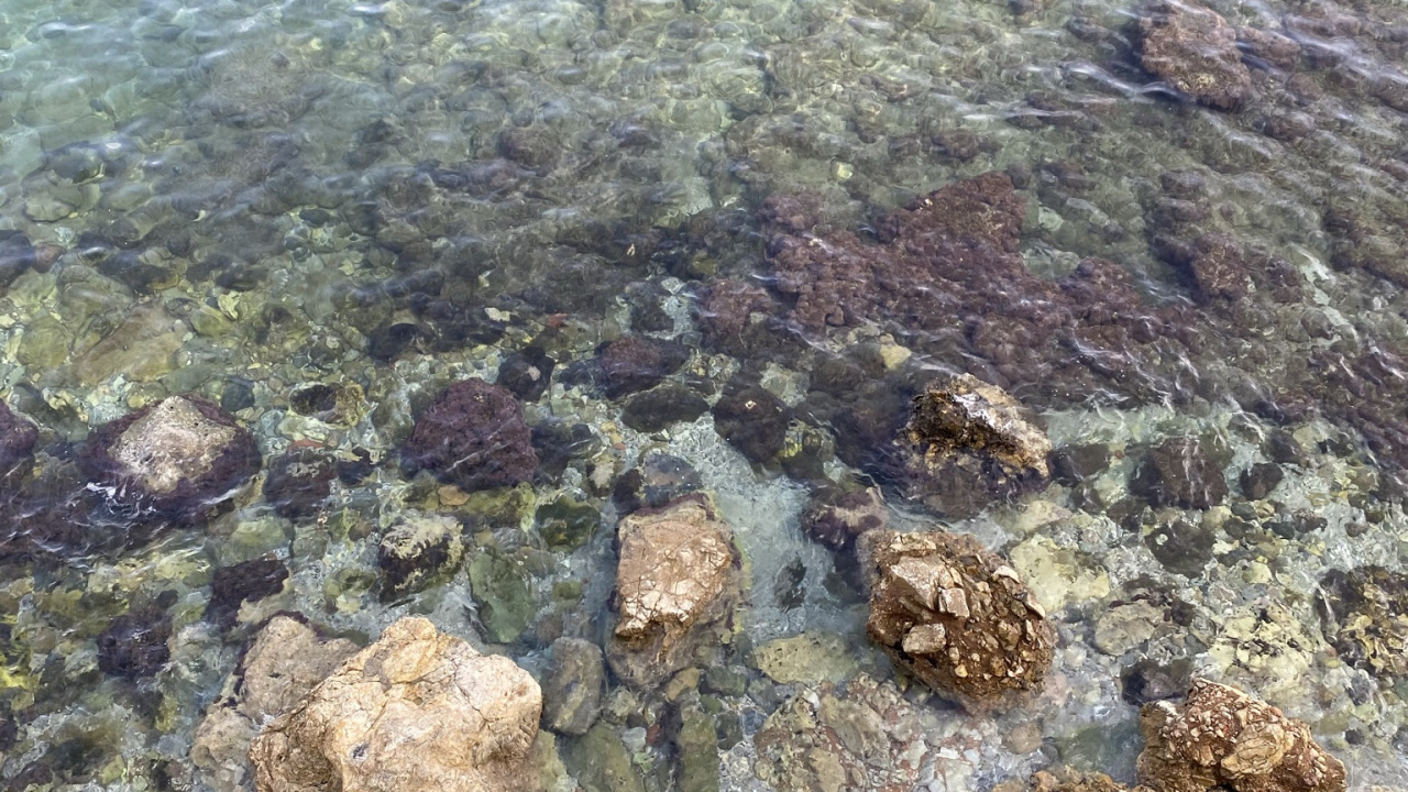 大海, 海洋生物学, 珊瑚礁, 科学, Azure 壁纸 1280x720 允许