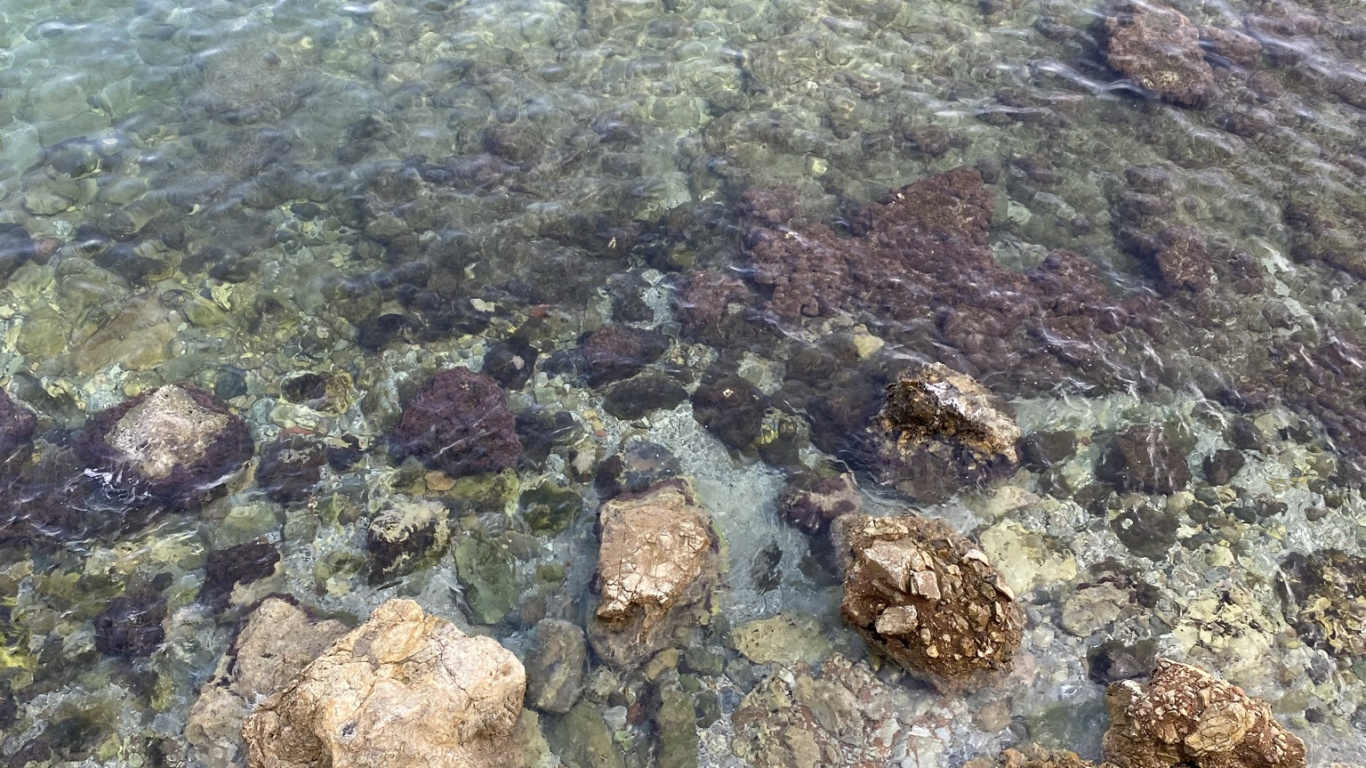 Meer, Korallenriff, Marine Biologie, Riff, Wissenschaft. Wallpaper in 1366x768 Resolution