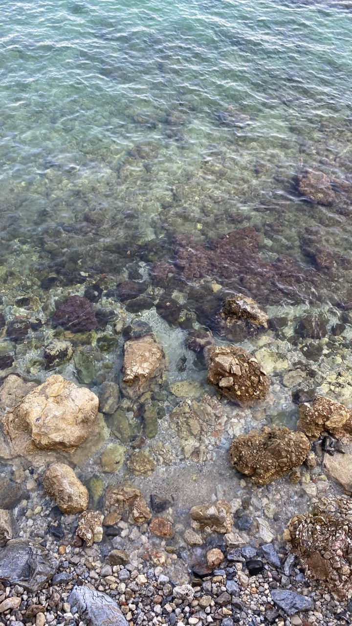 Meer, Korallenriff, Marine Biologie, Riff, Wissenschaft. Wallpaper in 720x1280 Resolution