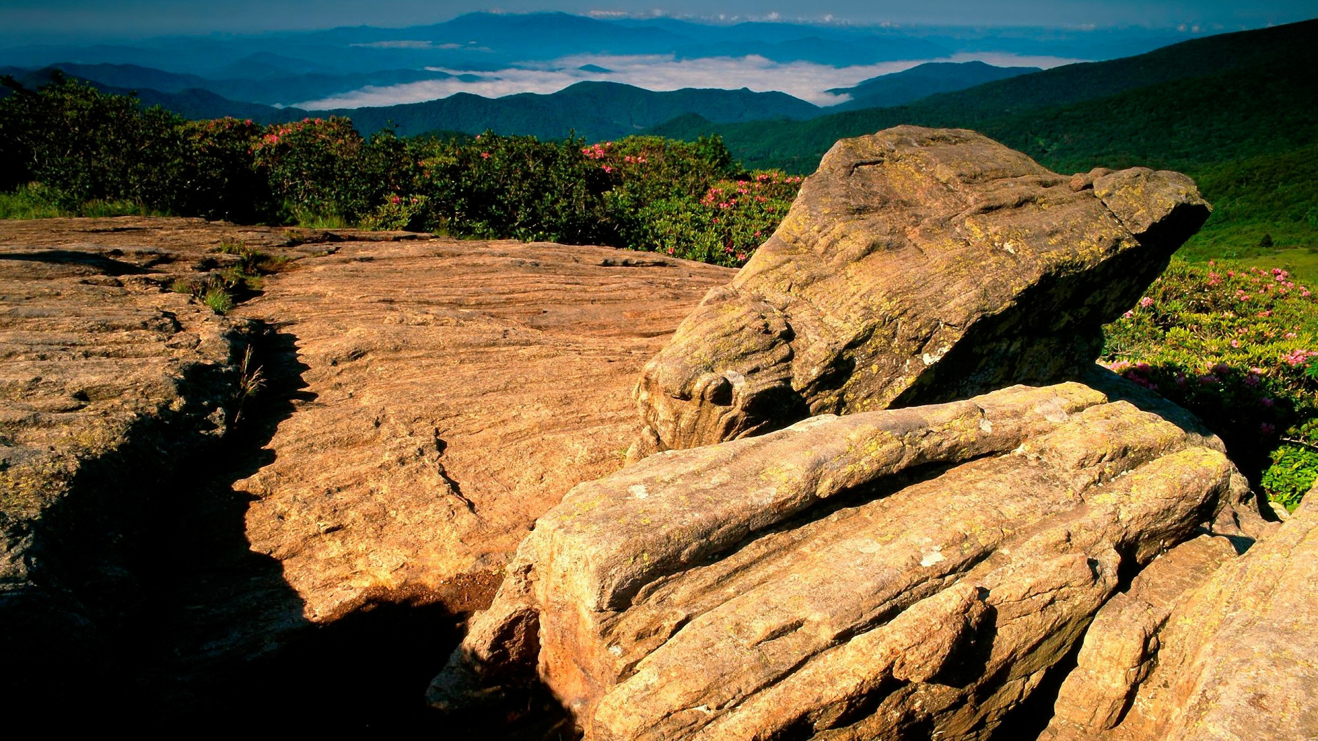 Brown Rock Formation Near Green Trees During Daytime. Wallpaper in 1920x1080 Resolution