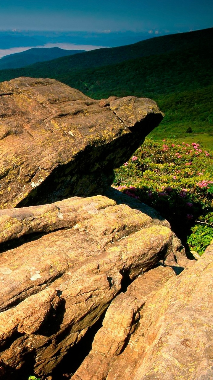 Brown Rock Formation Near Green Trees During Daytime. Wallpaper in 720x1280 Resolution
