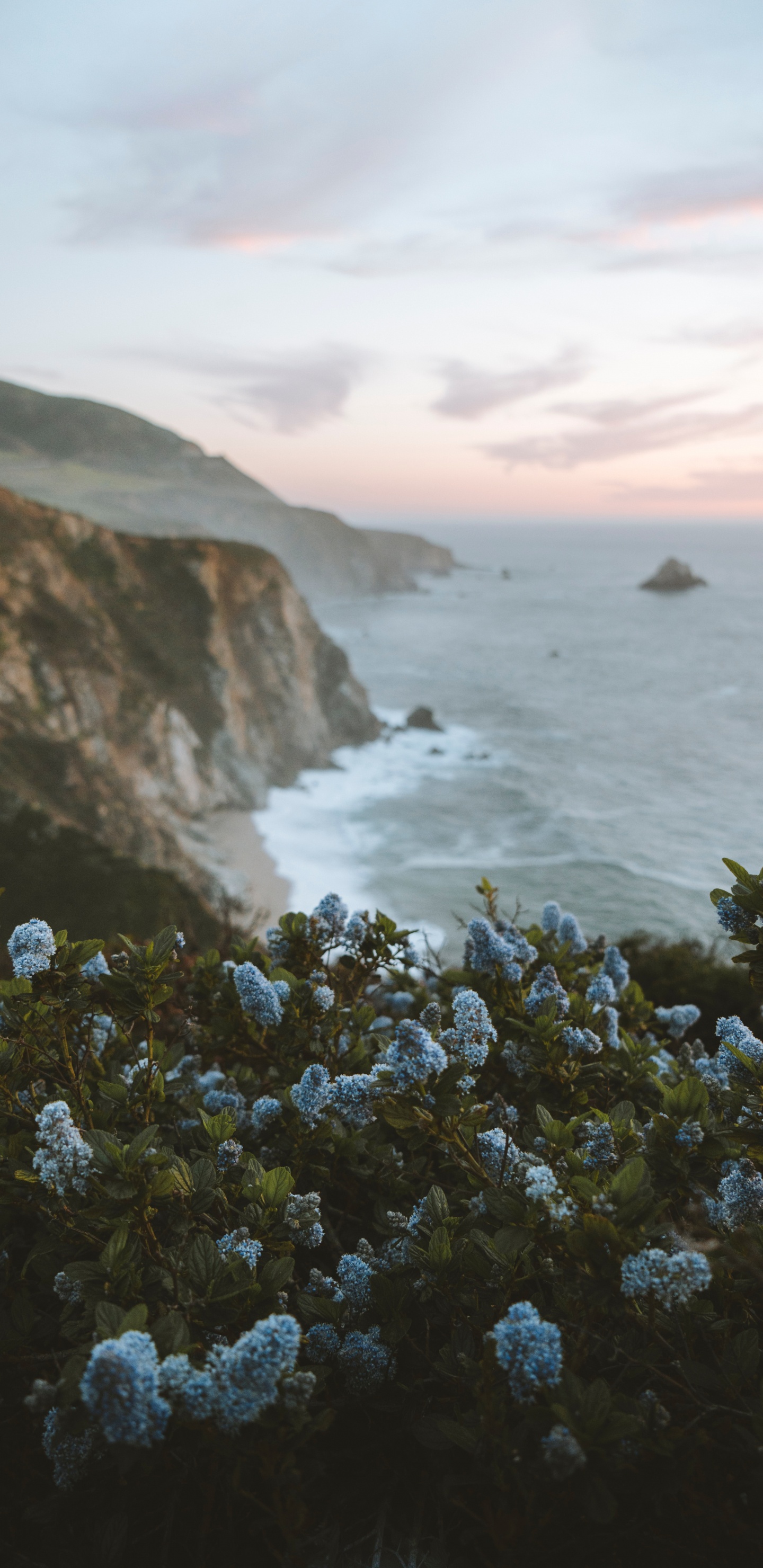 Nature, Côte, Mer, Falaise, Paysage Naturel. Wallpaper in 1440x2960 Resolution