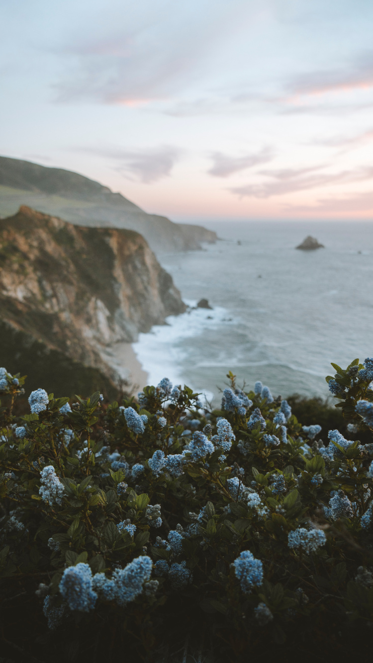 Nature, Coast, Sea, Cliff, Natural Landscape. Wallpaper in 750x1334 Resolution