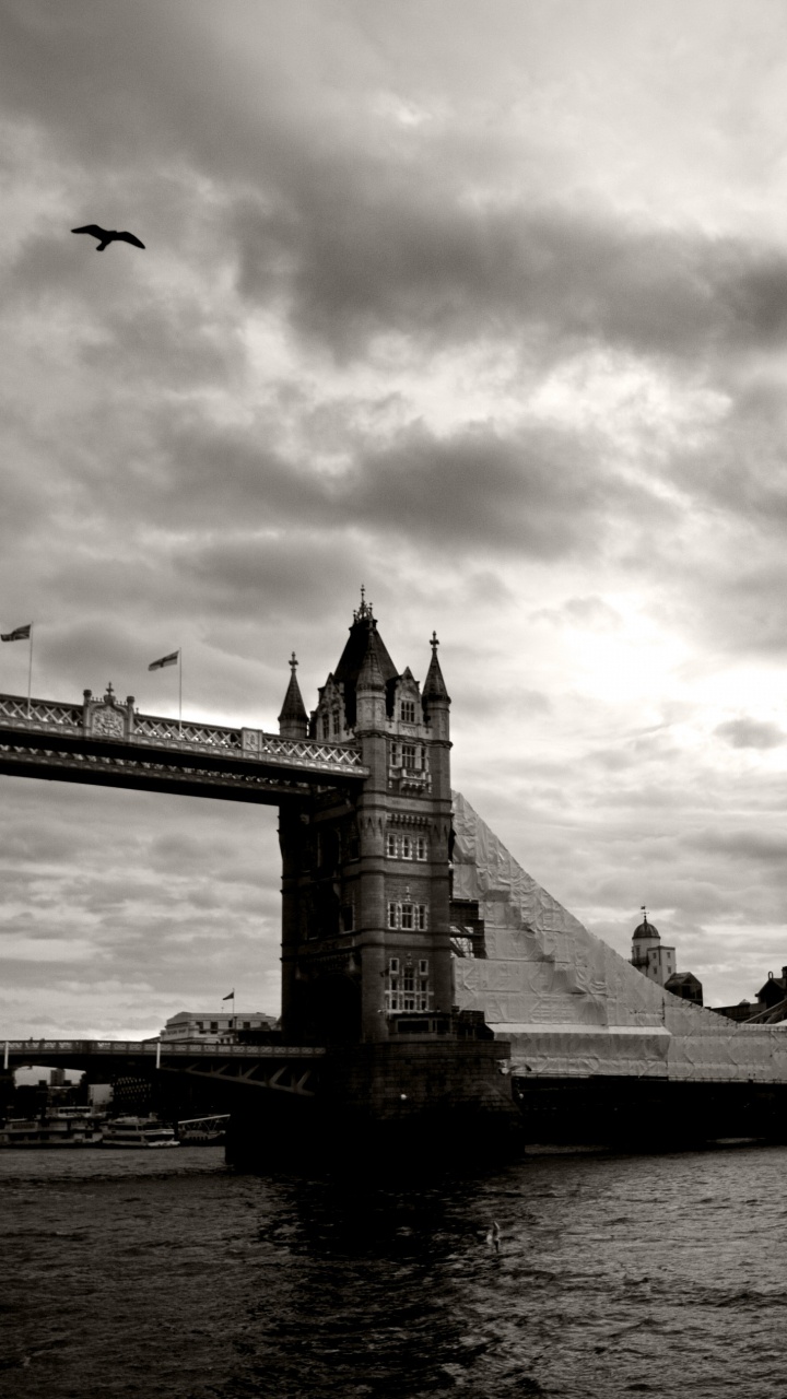 Foto en Escala de Grises Del Puente Sobre el Cuerpo de Agua. Wallpaper in 720x1280 Resolution
