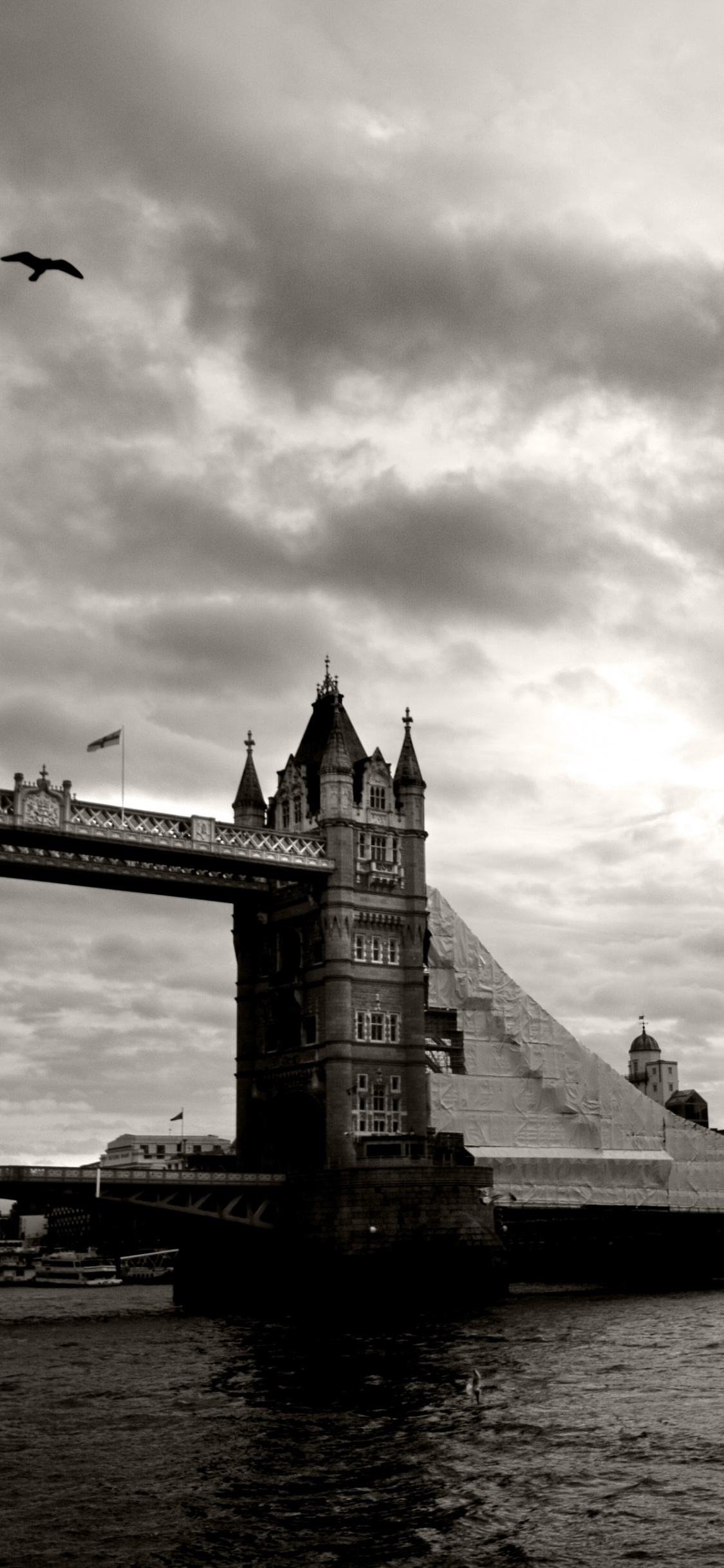 Photo en Niveaux de Gris D'un Pont Au-dessus D'un Plan D'eau. Wallpaper in 1125x2436 Resolution