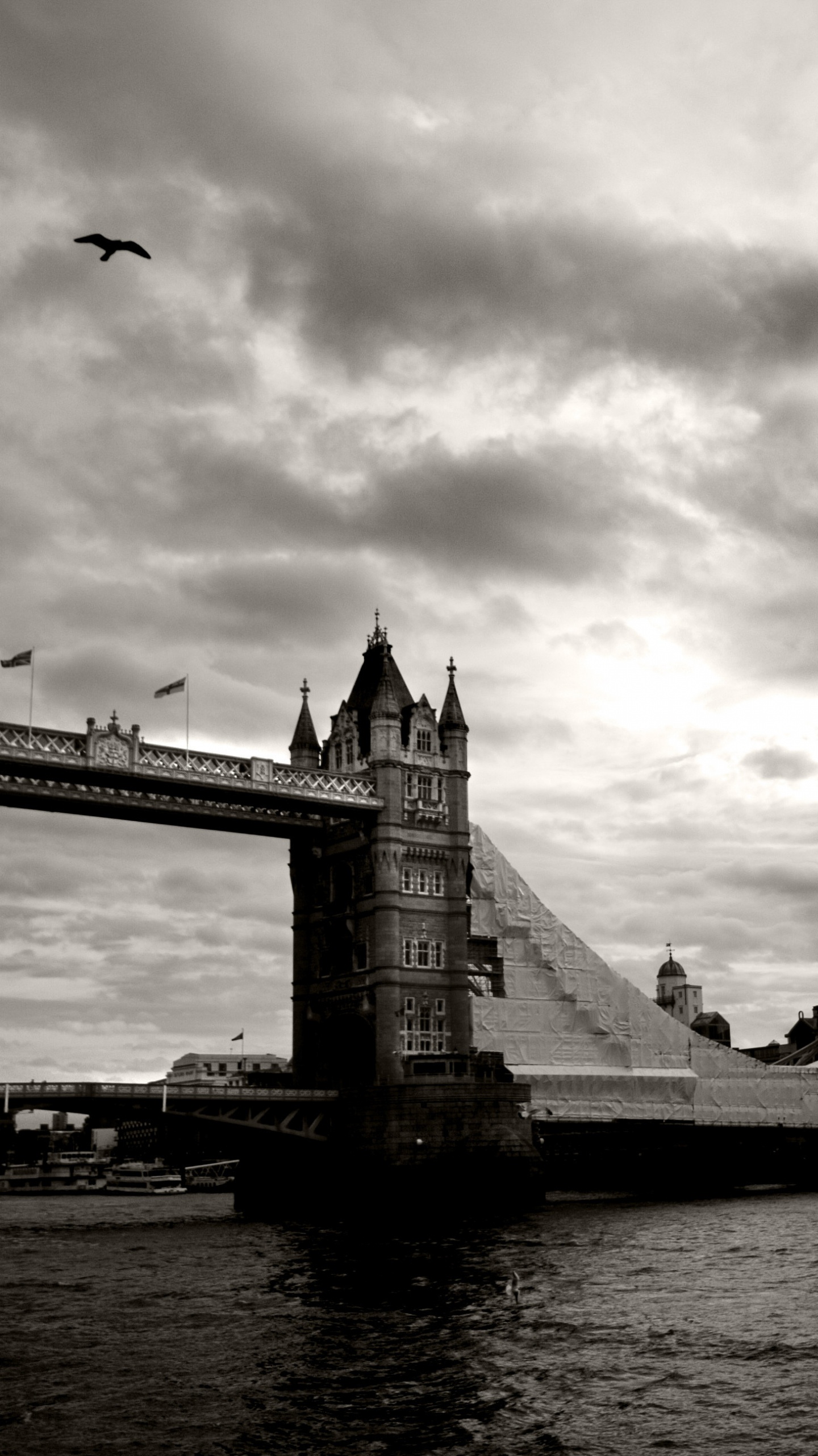 Grayscale Photo of Bridge Over Body of Water. Wallpaper in 1440x2560 Resolution