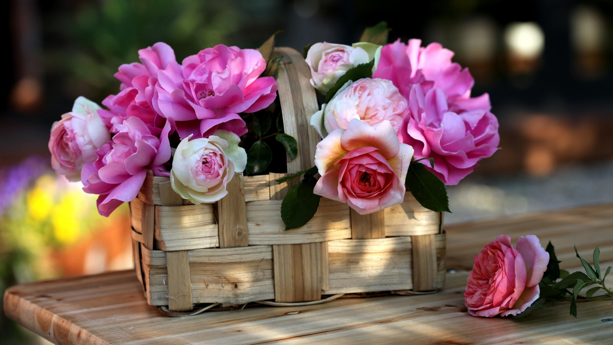 Pink Roses on Brown Wooden Crate. Wallpaper in 2560x1440 Resolution