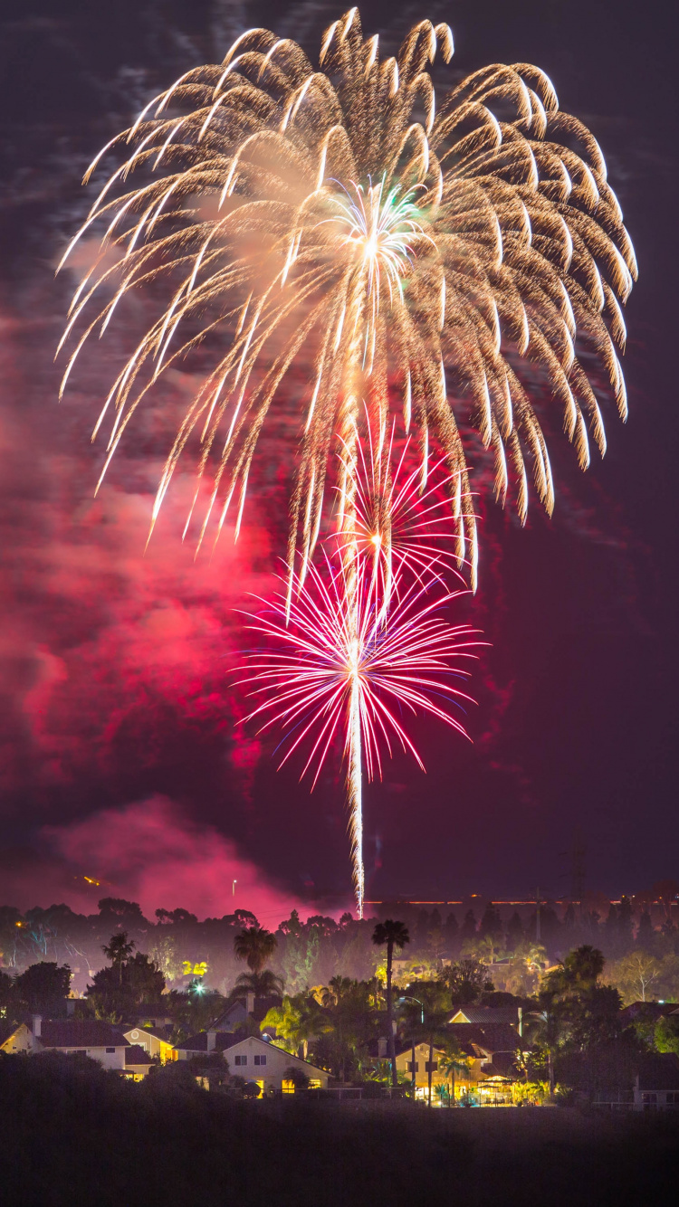 Pirotecnia, el Día de Año Nuevo, Evento, Festival, Rosa. Wallpaper in 750x1334 Resolution