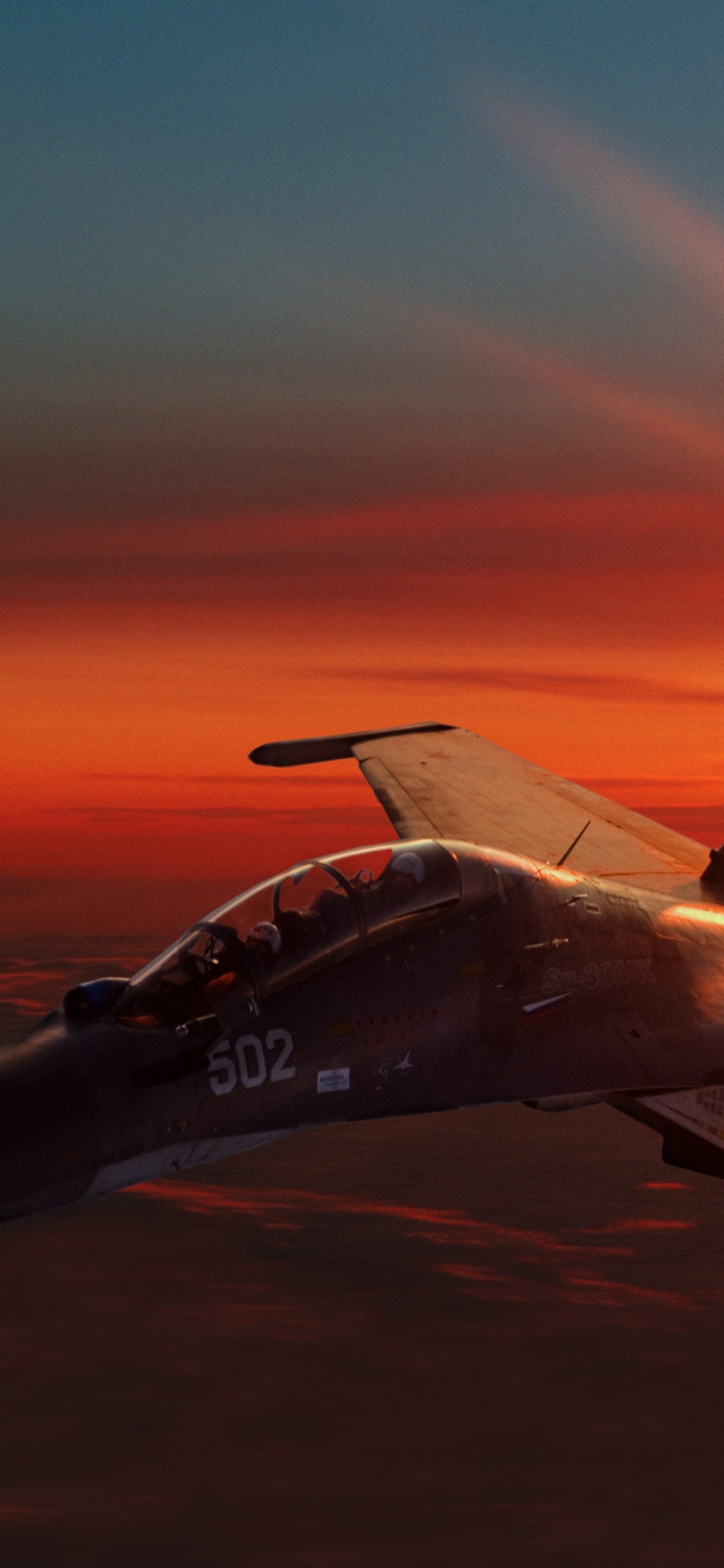 Avion à Réaction Blanc et Noir Dans Les Airs Pendant le Coucher du Soleil. Wallpaper in 1242x2688 Resolution