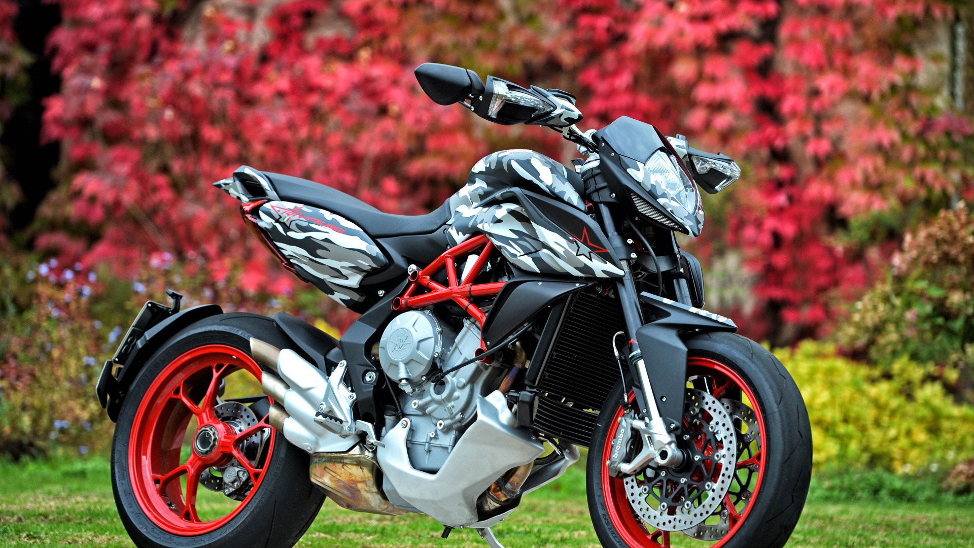 Black and Red Sports Bike on Green Grass Field During Daytime. Wallpaper in 1920x1080 Resolution