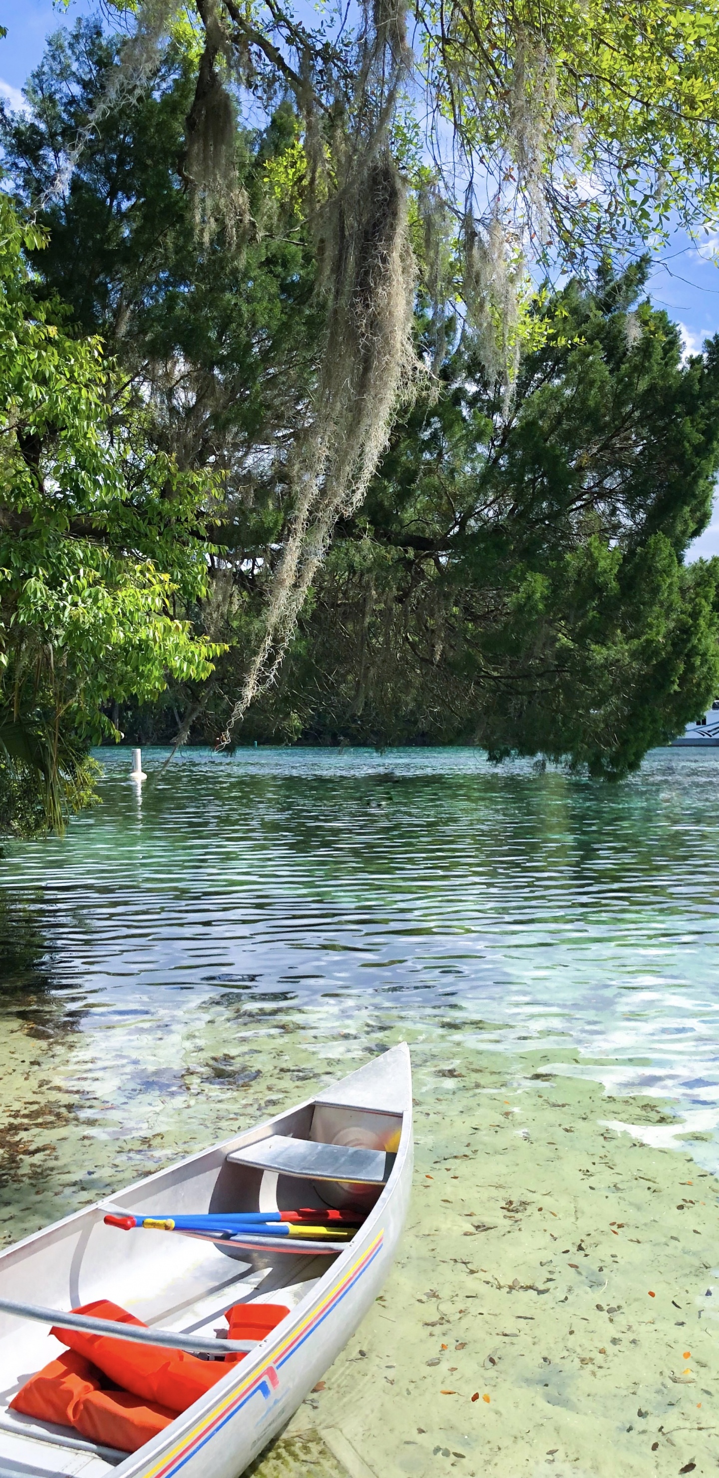 水运, 性质, 自然保护区, 度假, 旅游业 壁纸 1440x2960 允许