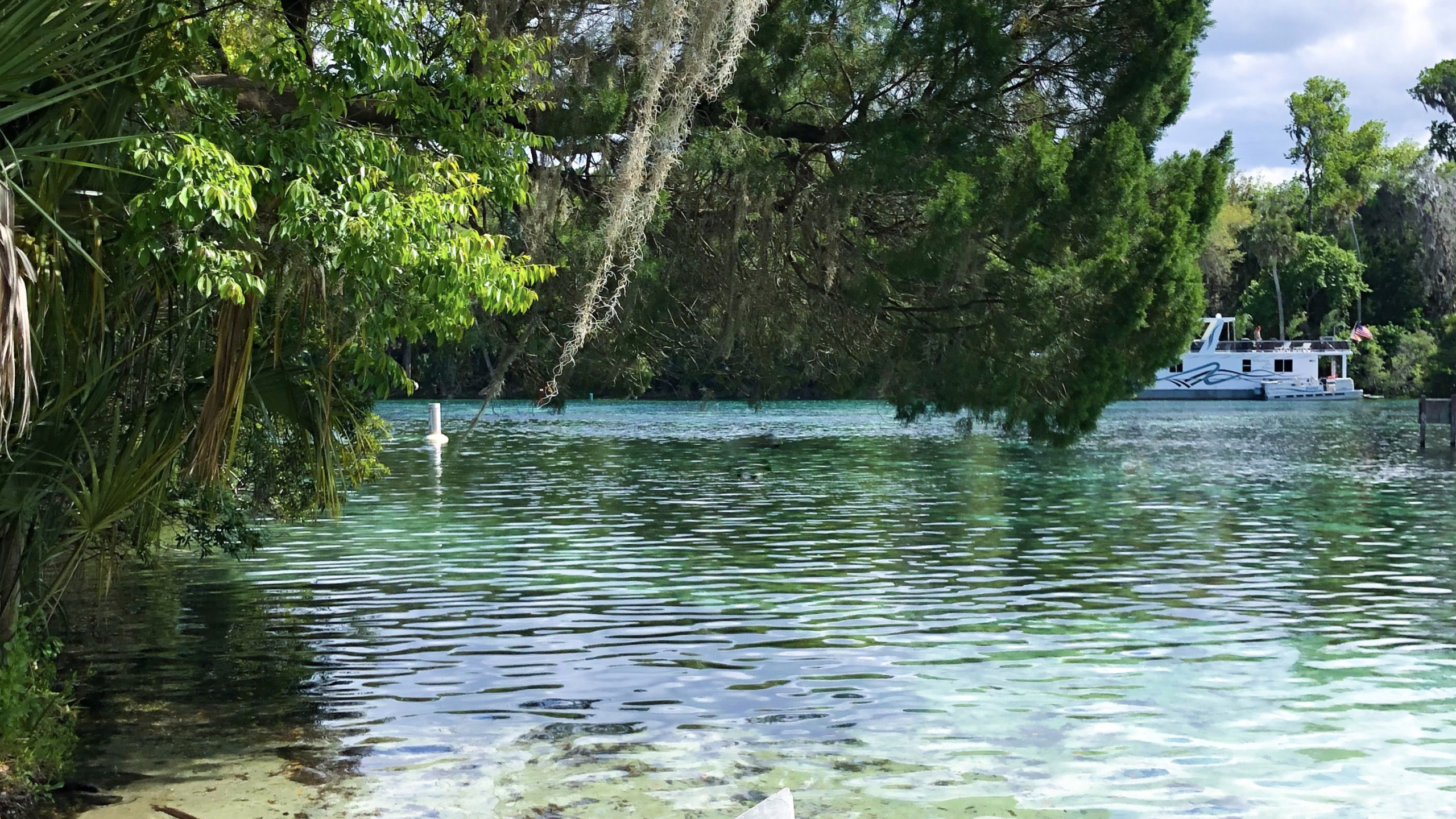 Barco, el Transporte Del Agua, Naturaleza, la Reserva Natural De, Río. Wallpaper in 2560x1440 Resolution