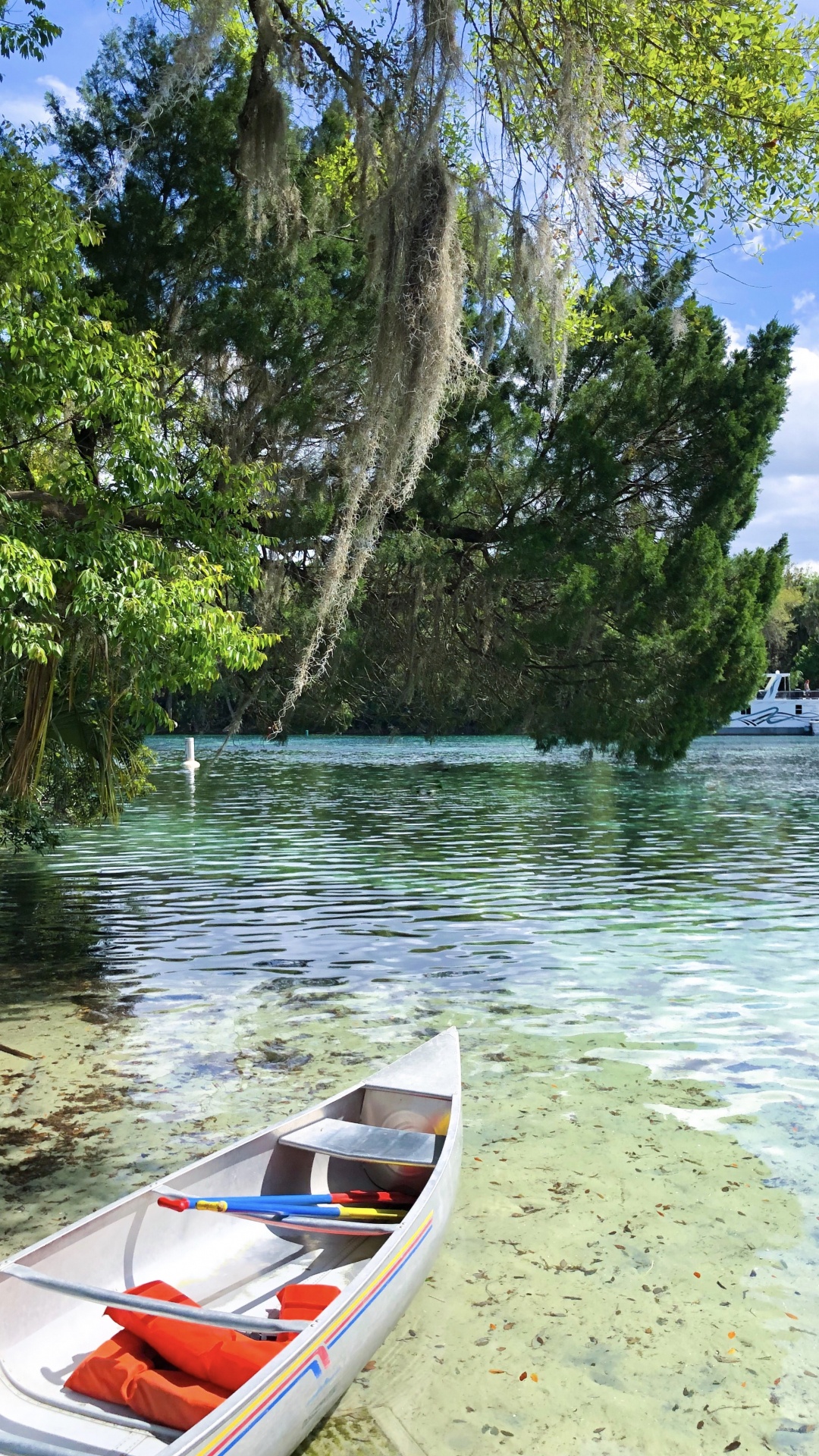 Boat, Water Transportation, Nature, Nature Reserve, Tree. Wallpaper in 1080x1920 Resolution