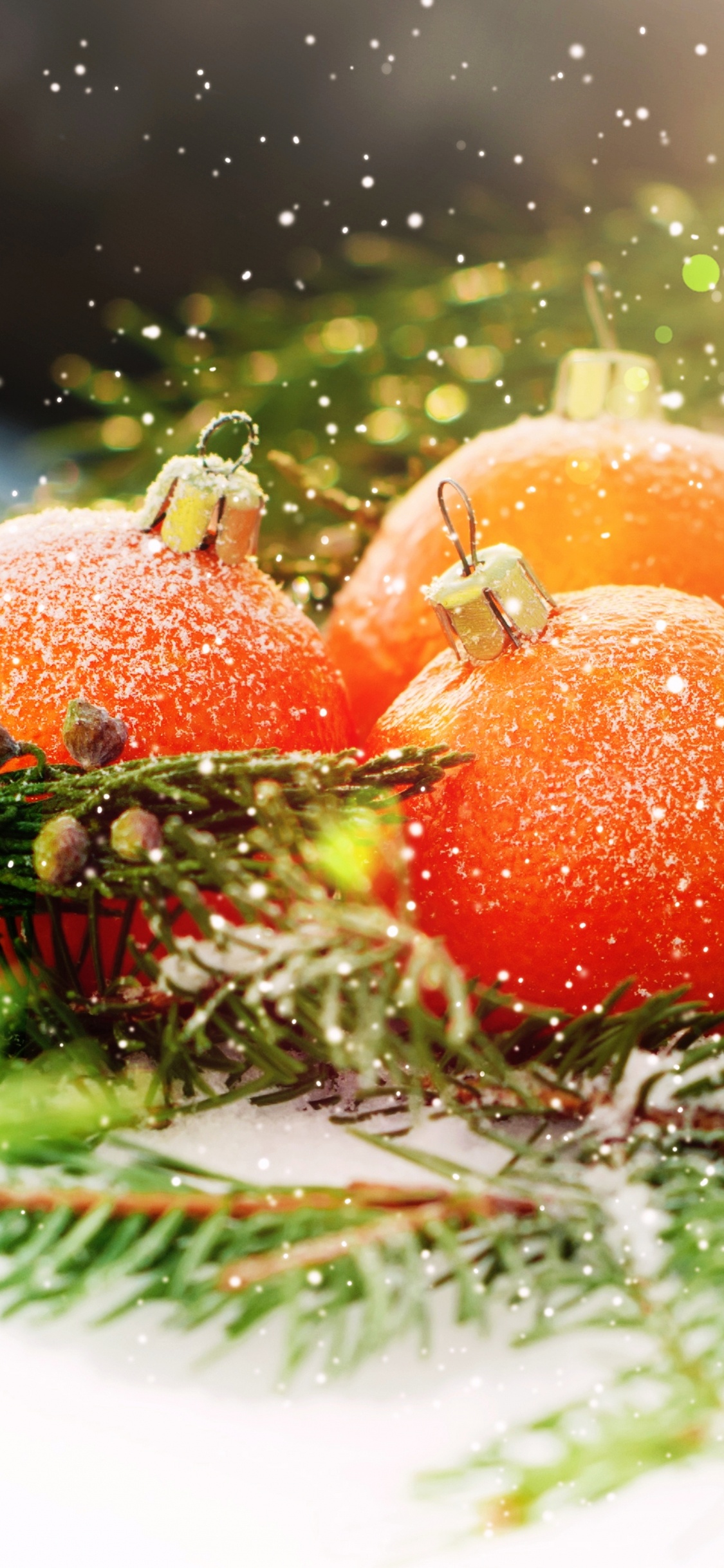 Christmas Day, New Year, Vegetarian Food, Food, Vegetable. Wallpaper in 1125x2436 Resolution