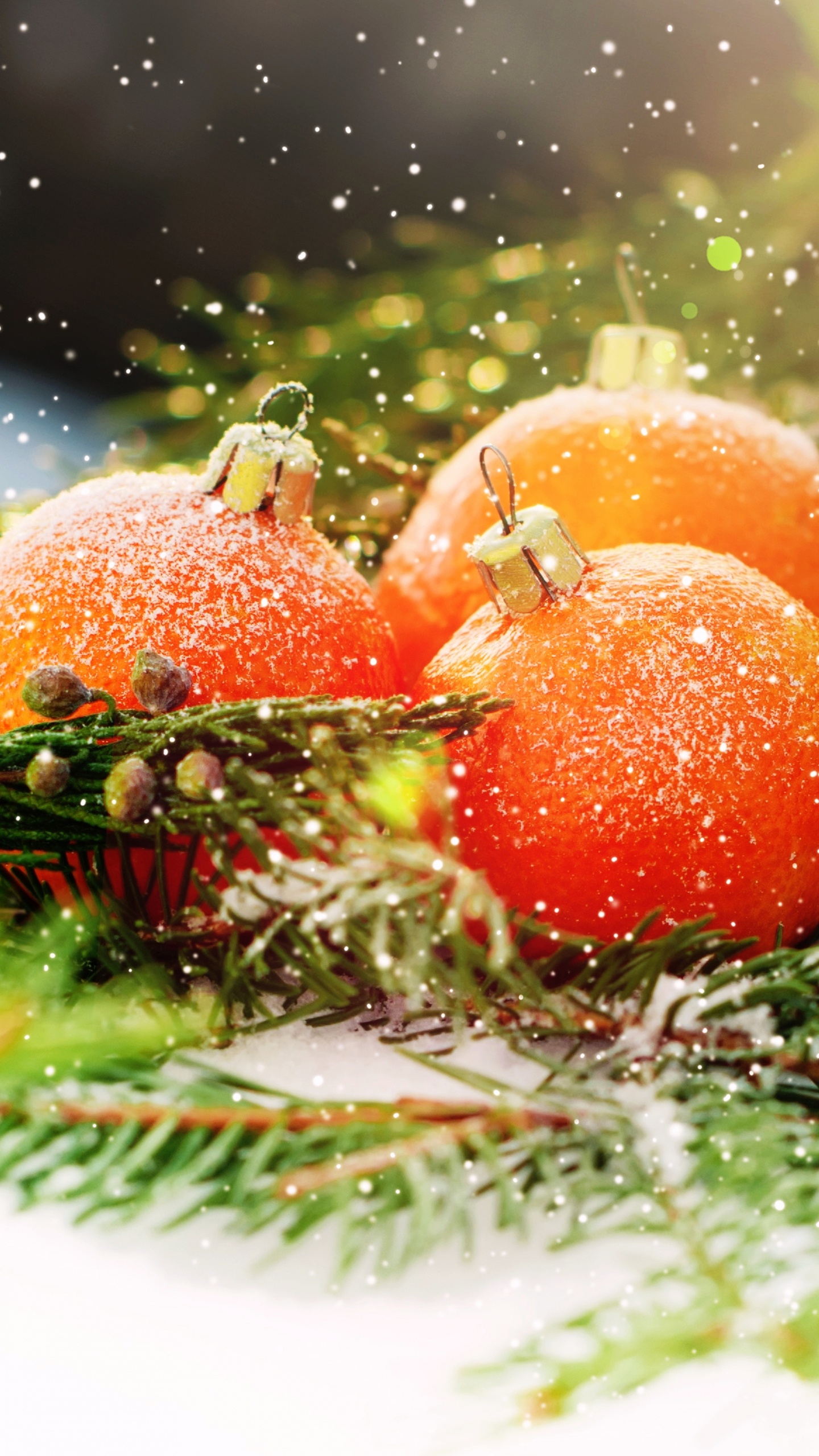 Christmas Day, New Year, Vegetarian Food, Food, Vegetable. Wallpaper in 1440x2560 Resolution