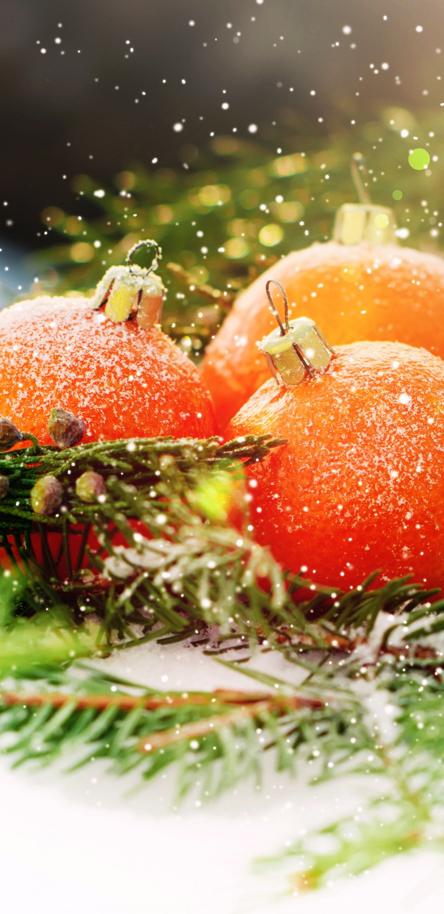 Christmas Day, New Year, Vegetarian Food, Food, Vegetable. Wallpaper in 1440x2960 Resolution