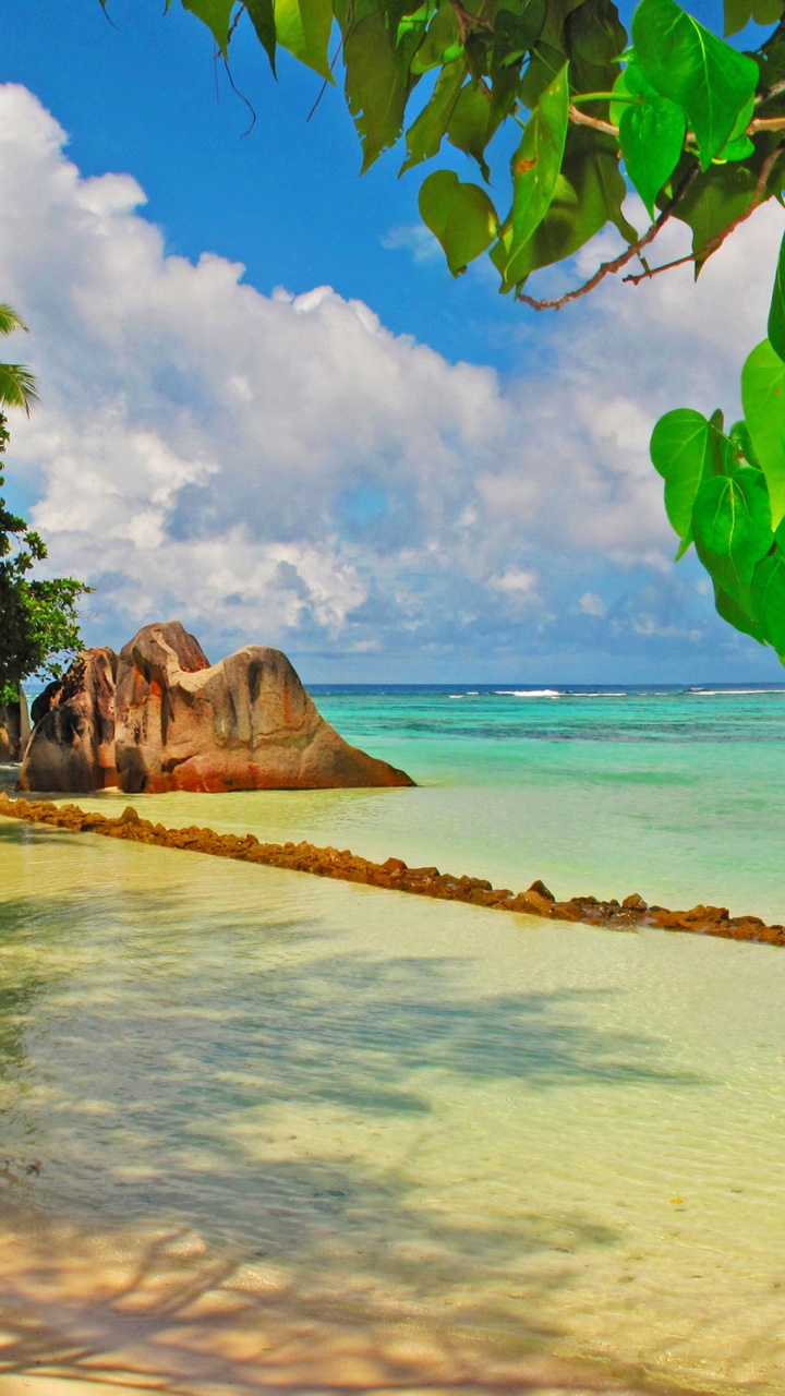 Braune Felsformation am Strand Tagsüber. Wallpaper in 720x1280 Resolution